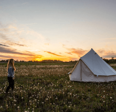holmely-glamping