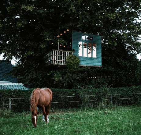 traetophytte-egeskov-slower-place