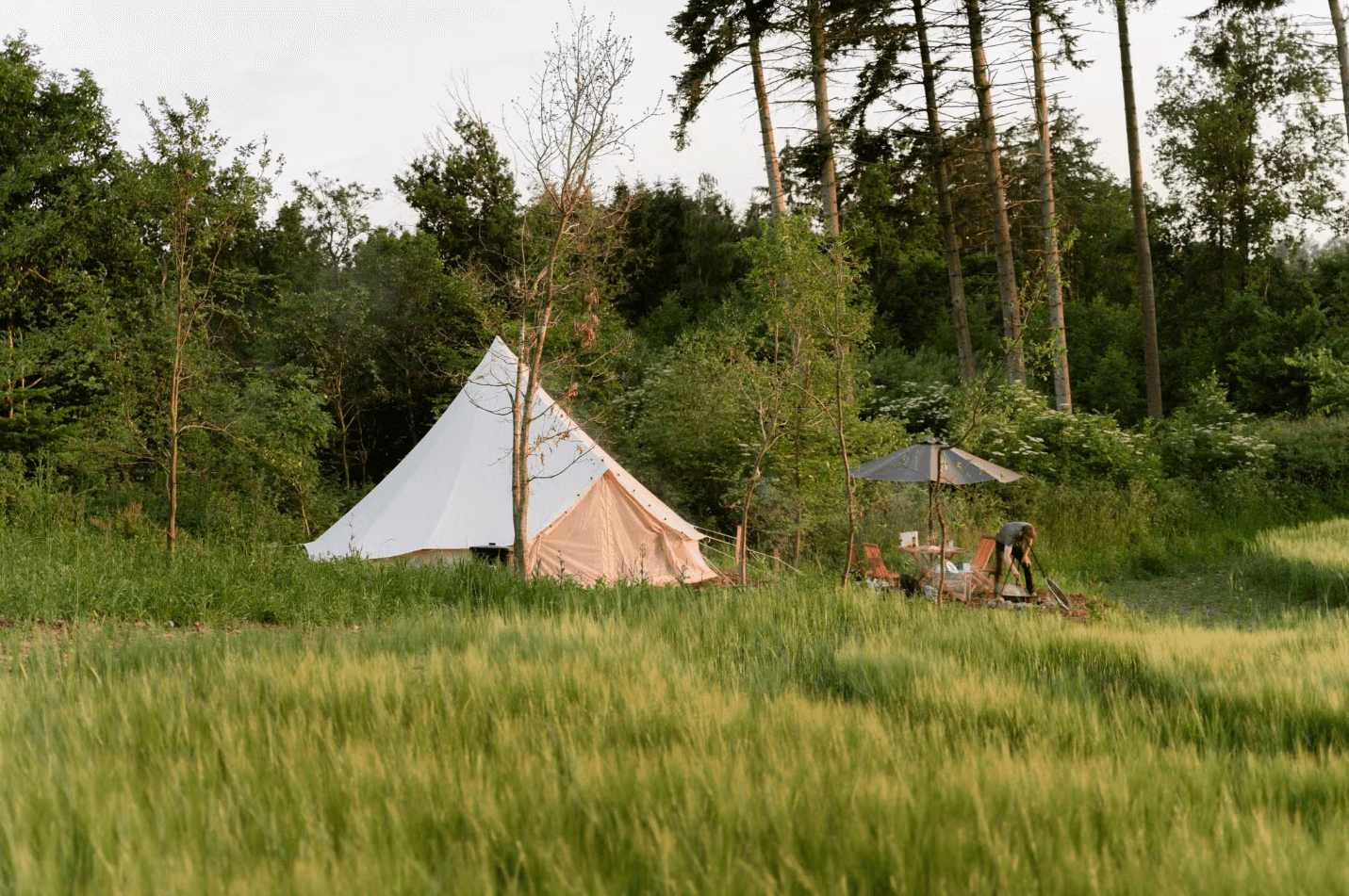 glamping-eg-kimmersogaard