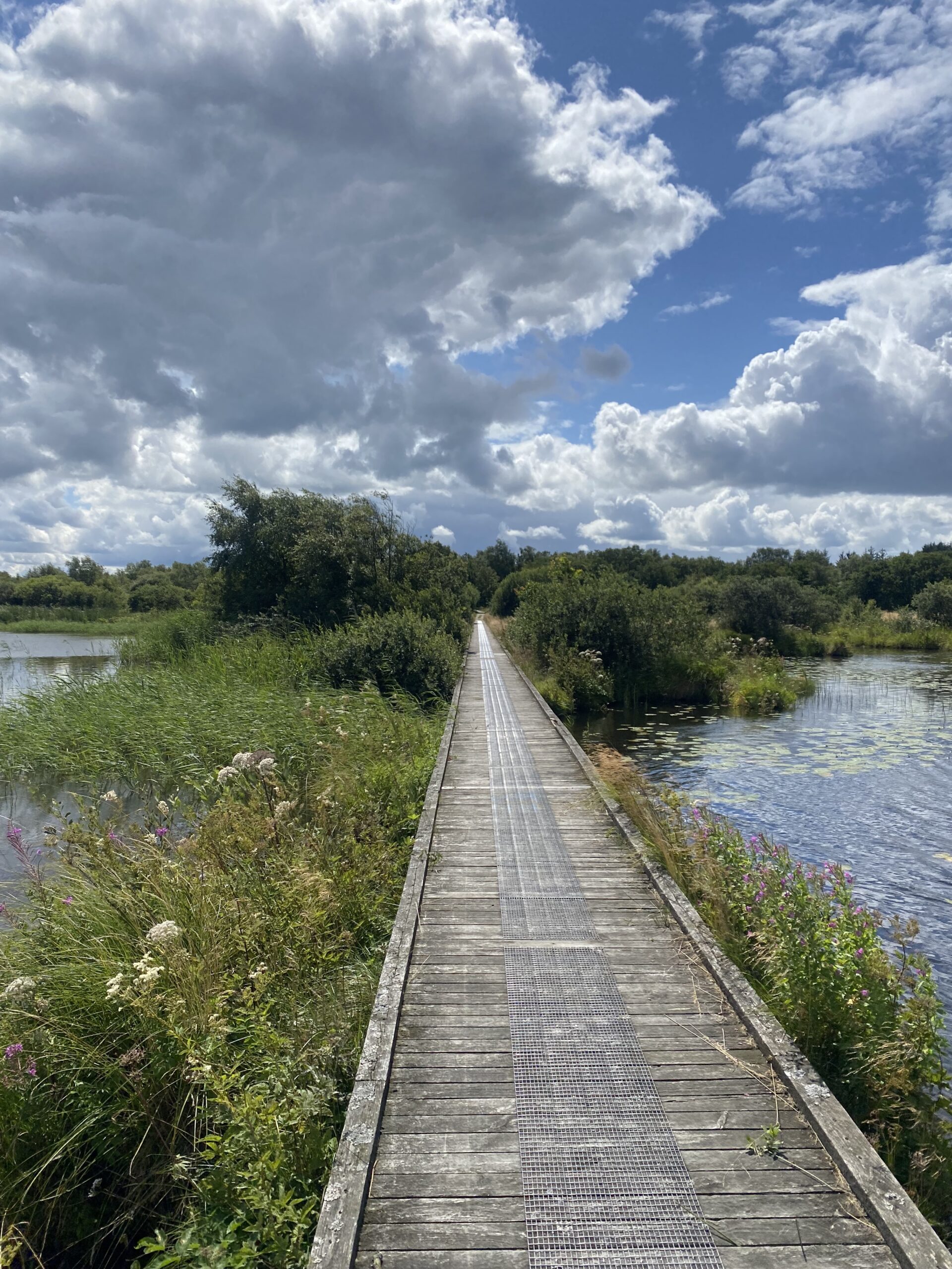 stubbergaard-soe-rundt