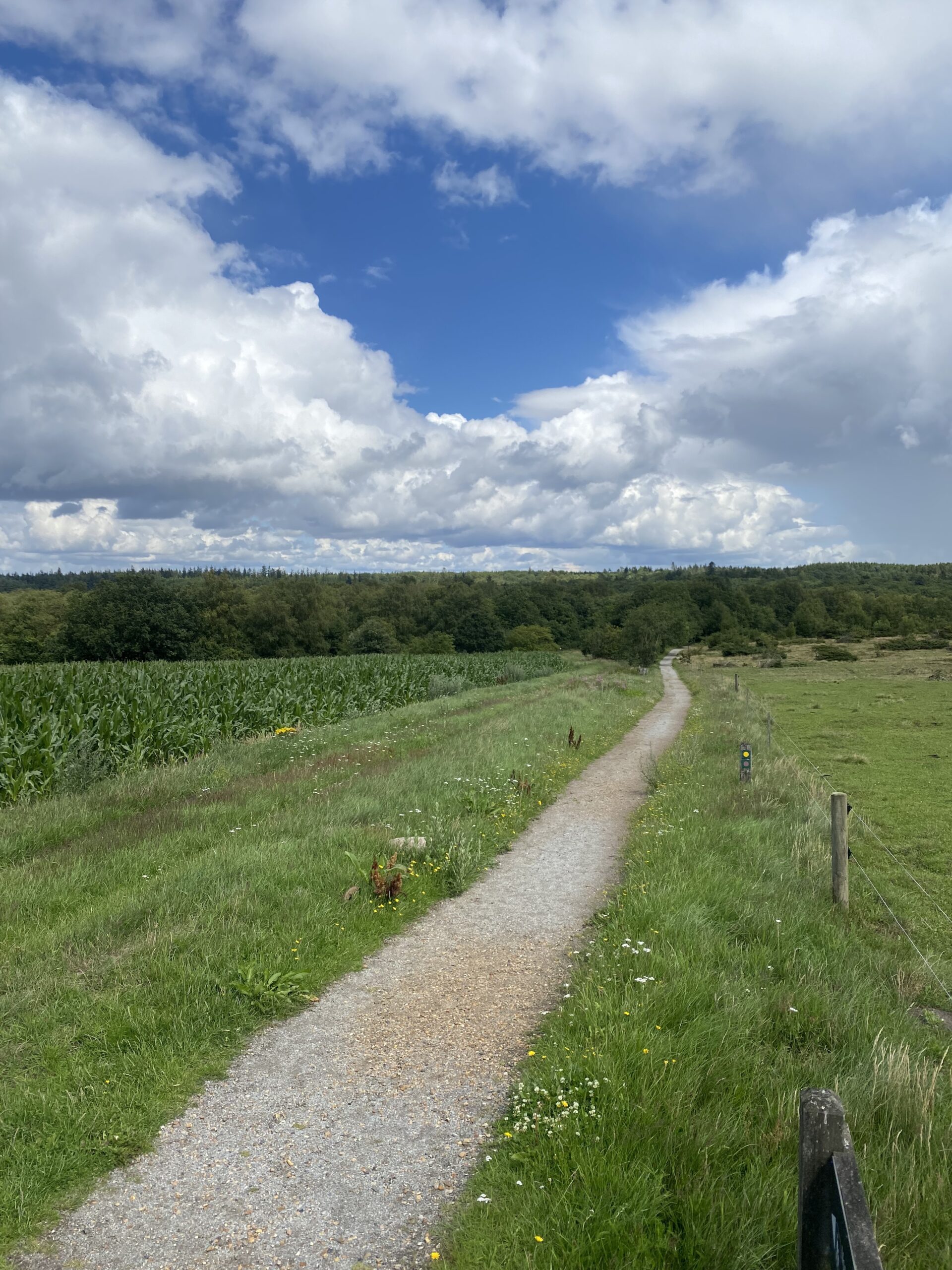 stubbergaard-soe-start