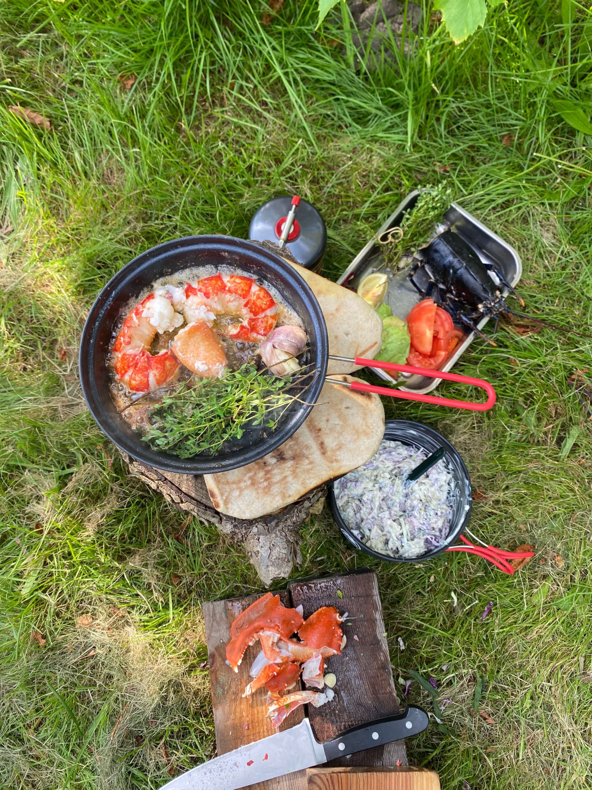 robens-fire-beetle-pro-kogesaet-hummer-pita-coleslaw-tomat-avocado-opskrift