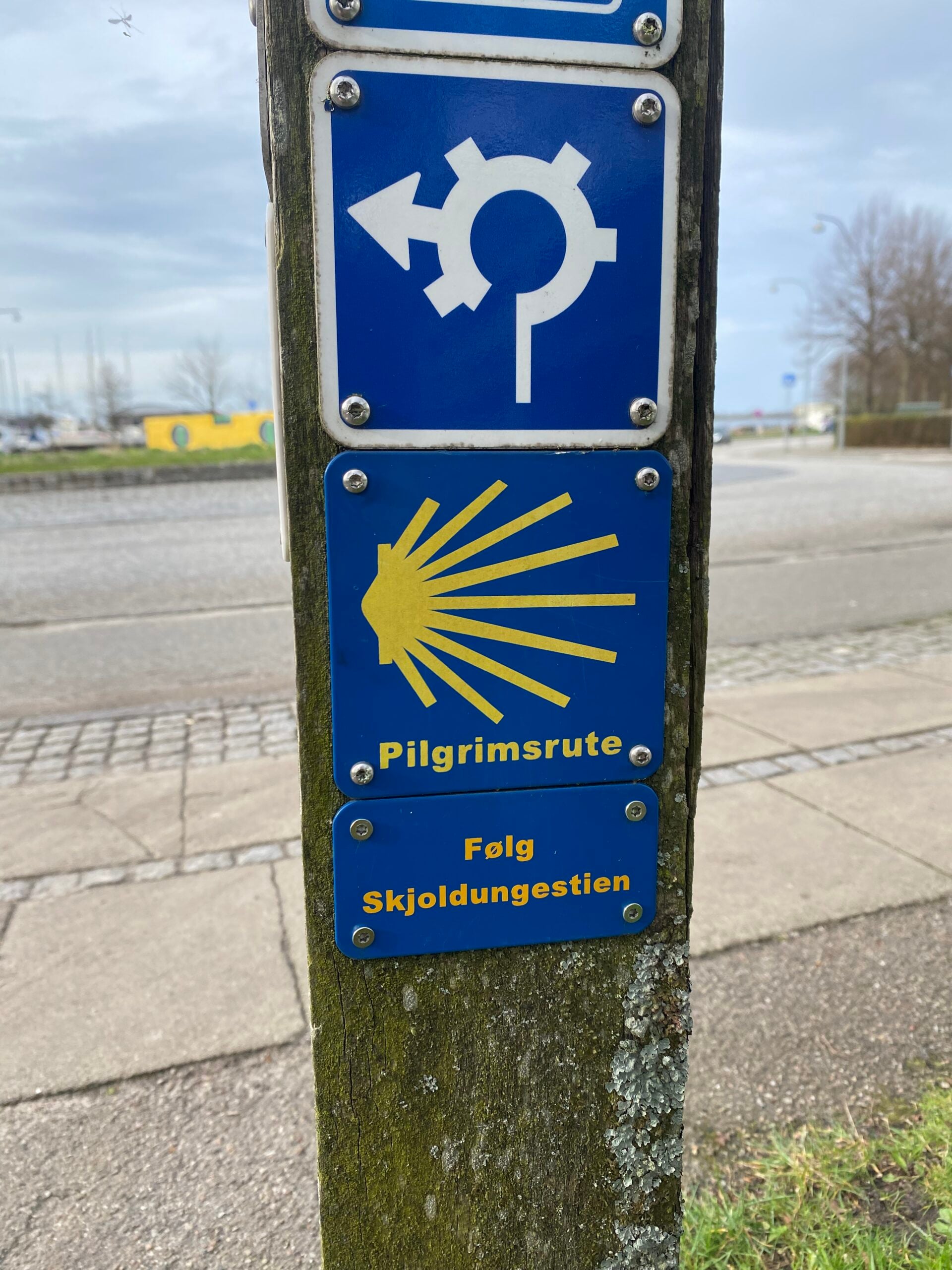 hedebostien-den-danske-pilgrimsrute