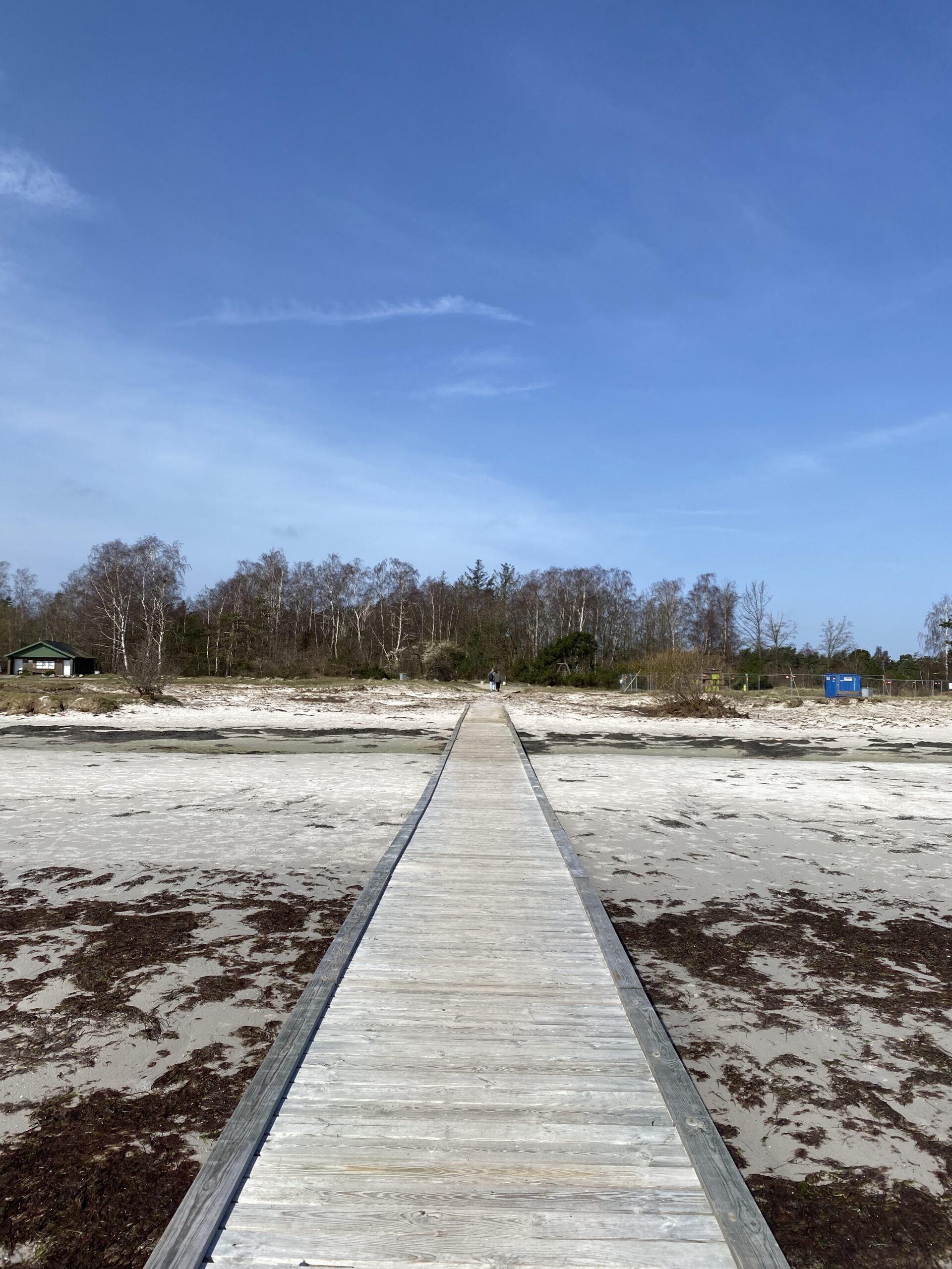 hedebostien-koege-bugt-start