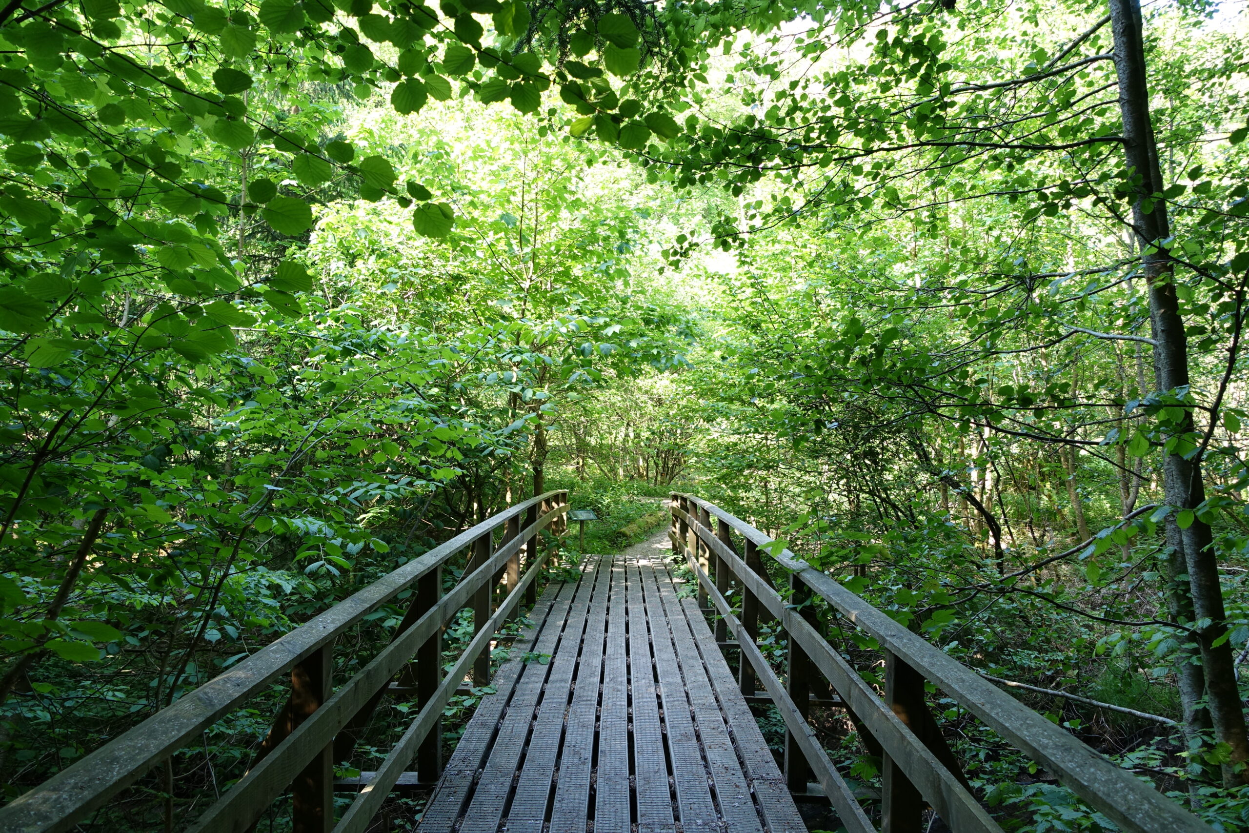 grejsdalen-vejle-til-jelling-traebro