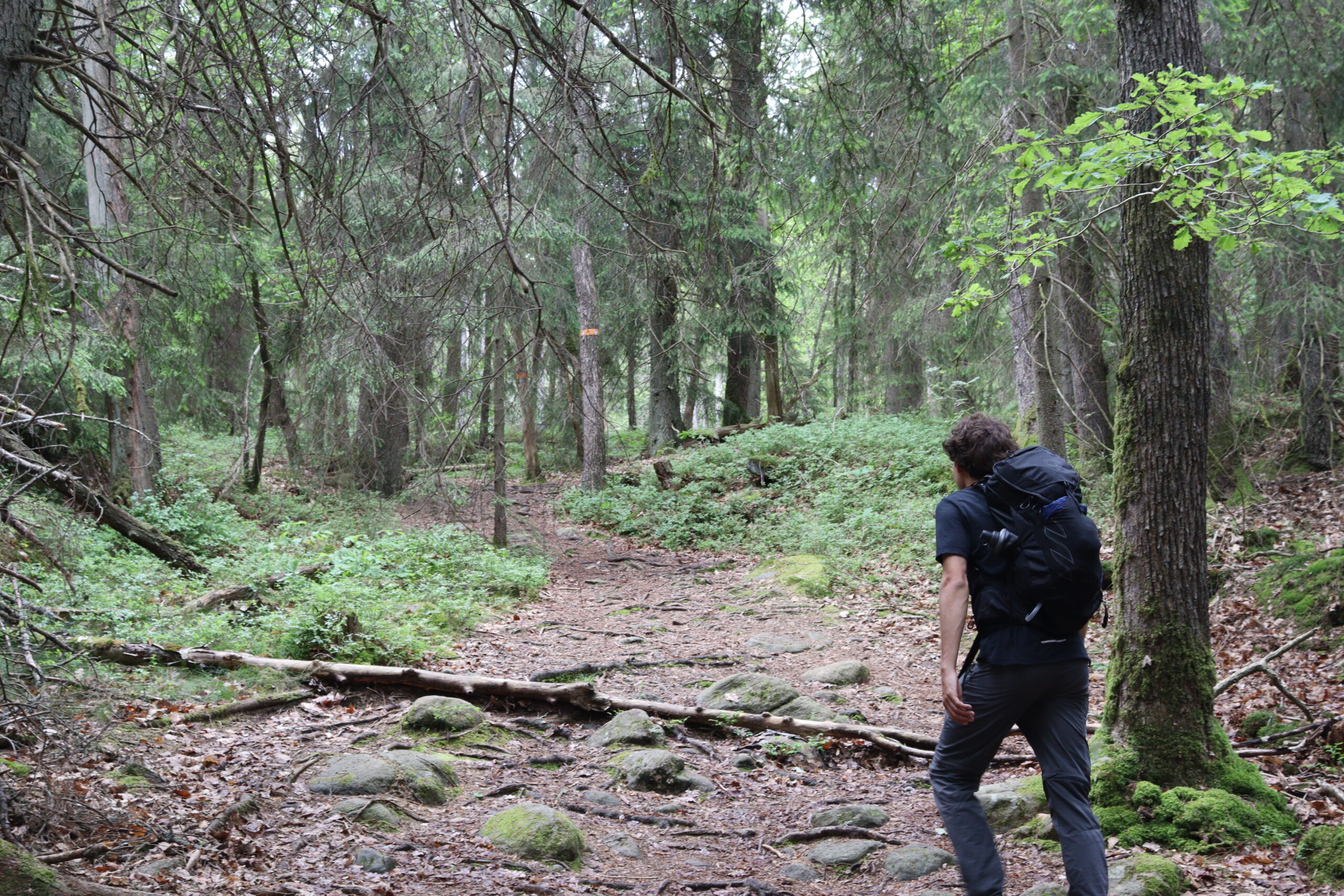 gotaleden-christian-01