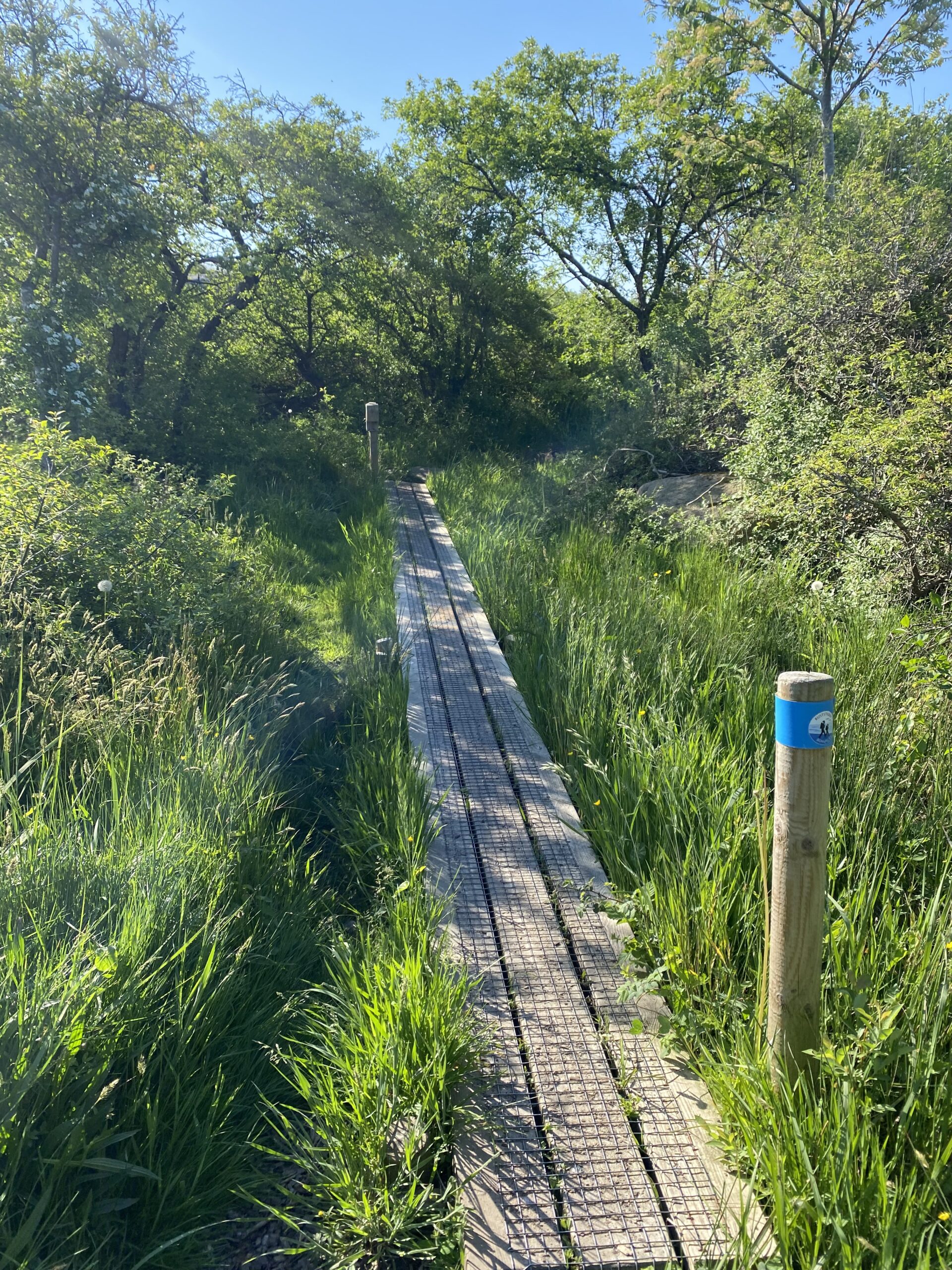 skargaardsleden-goteborg-vandrerute-markering-03