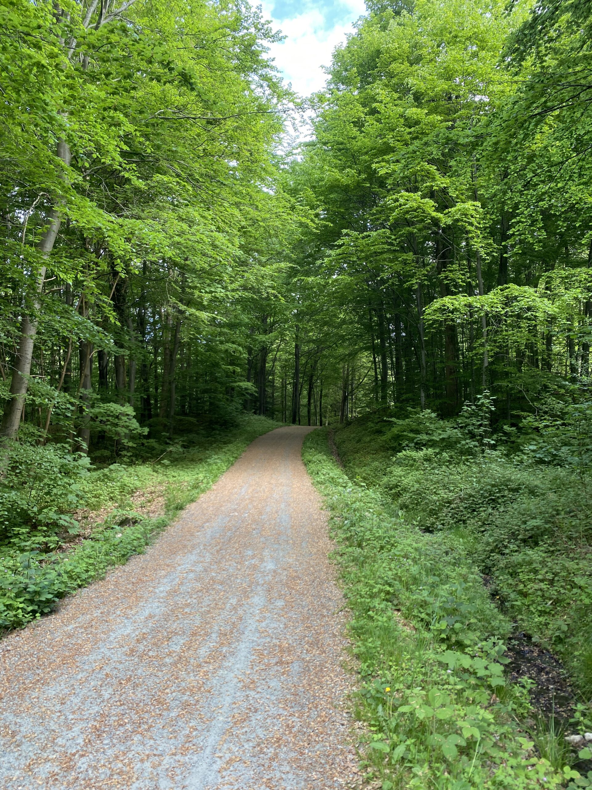 grejsdalstien-mod-noerremarken