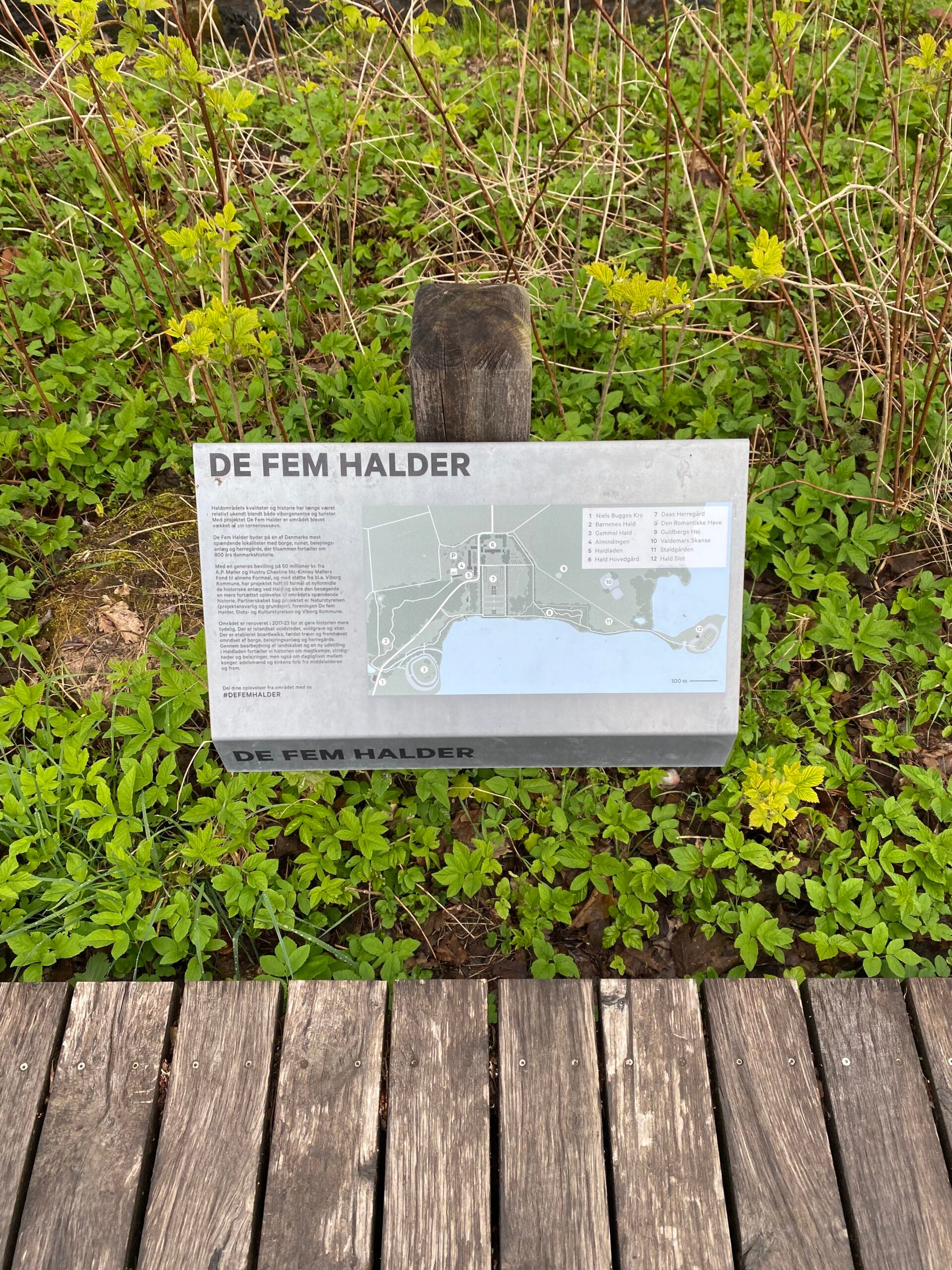 hald-soe-rundt-de-fem-halder