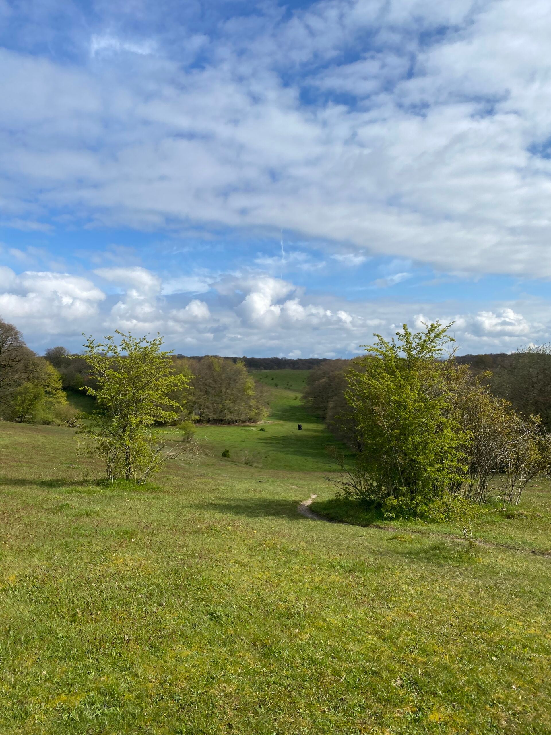 hald-soe-rundt-natur