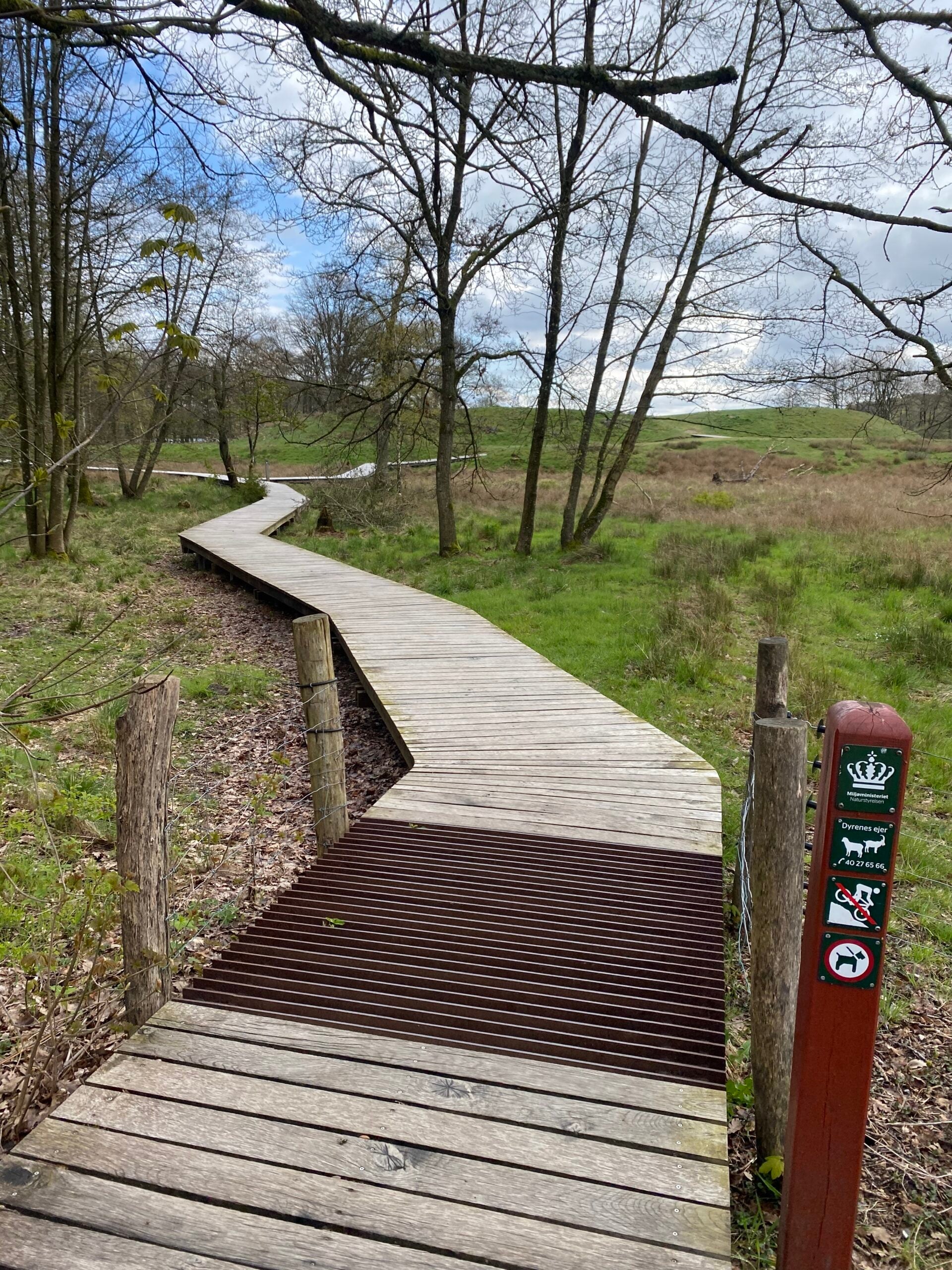 hald-soe-rundt-traebro