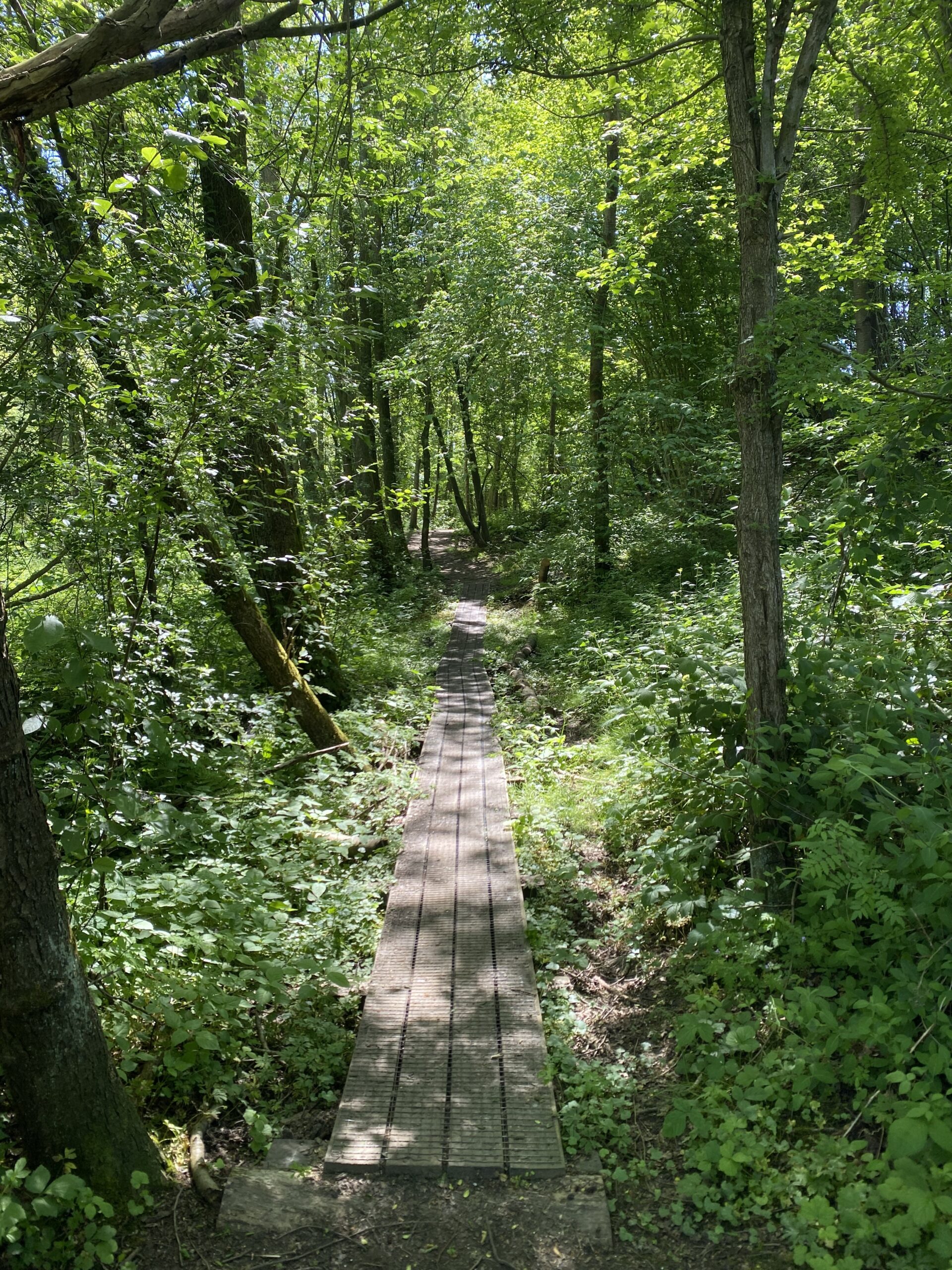 kaerlighedsstien-boerkop-traebro