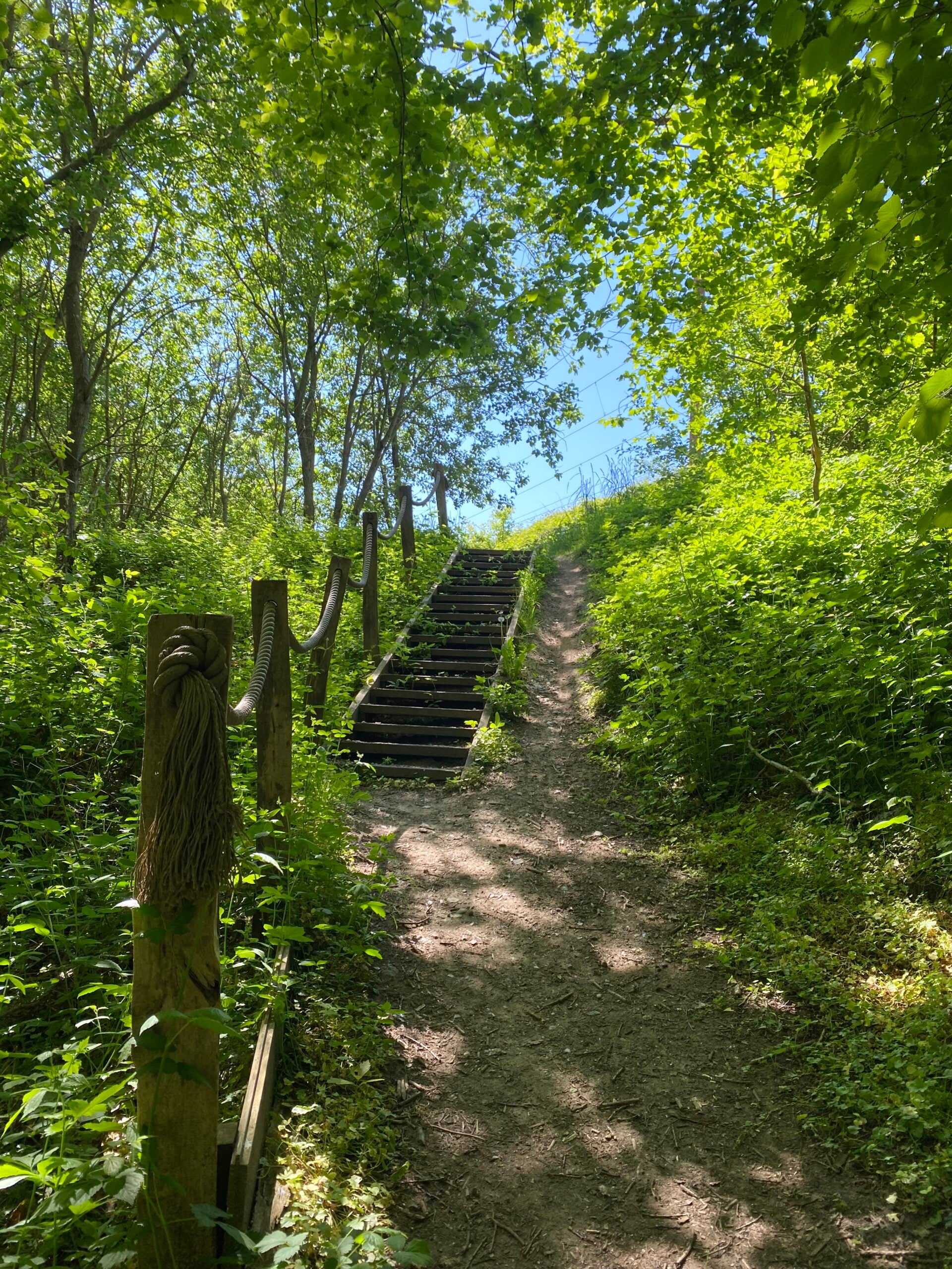 kaerlighedsstien-boerkop-trappe