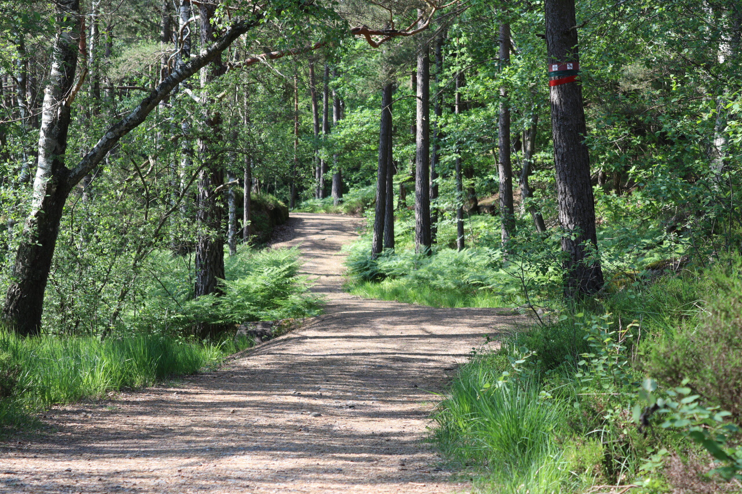 pilgrimsruten-gota-alv-10