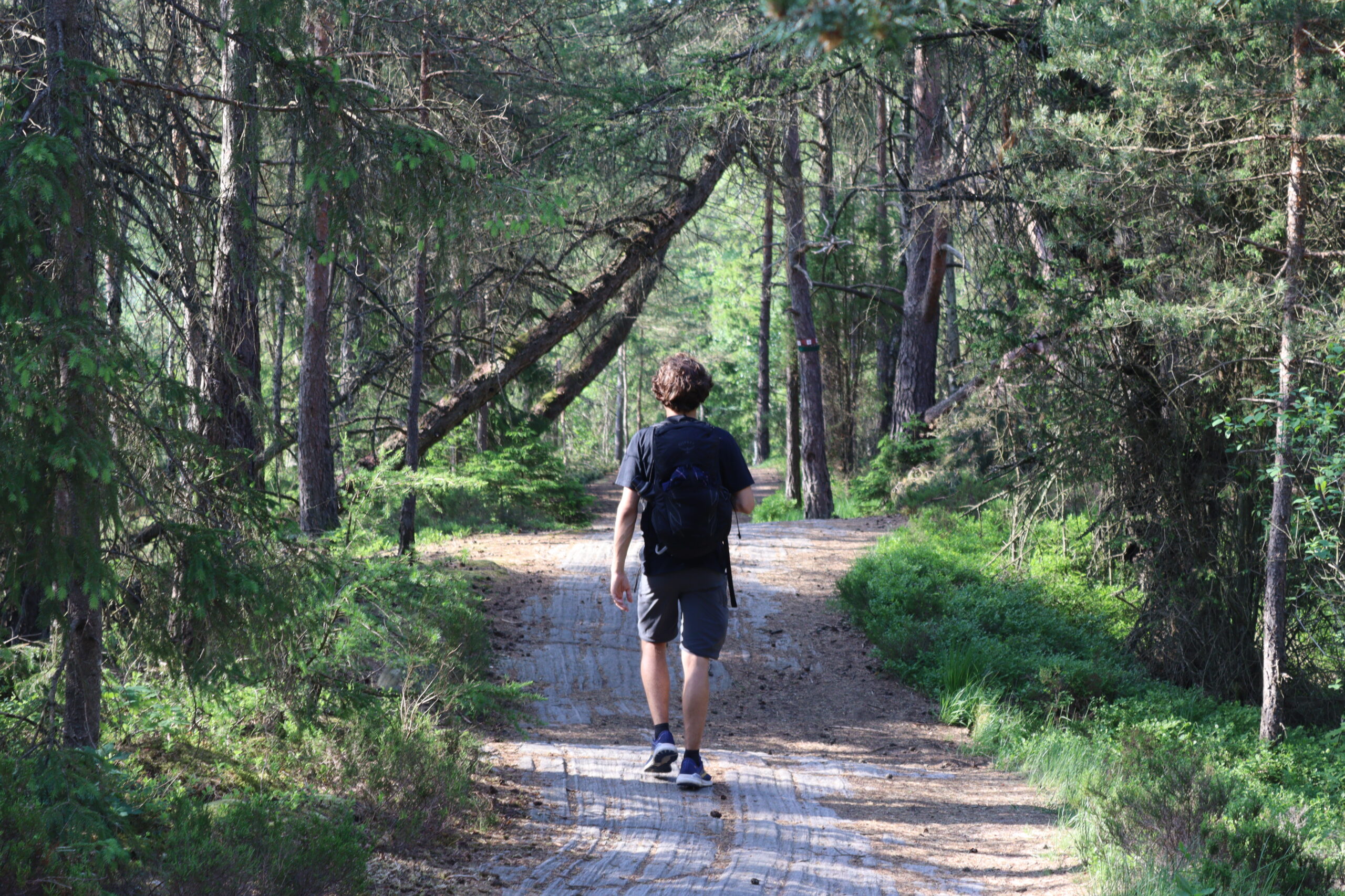 pilgrimsruten-gota-alv-18