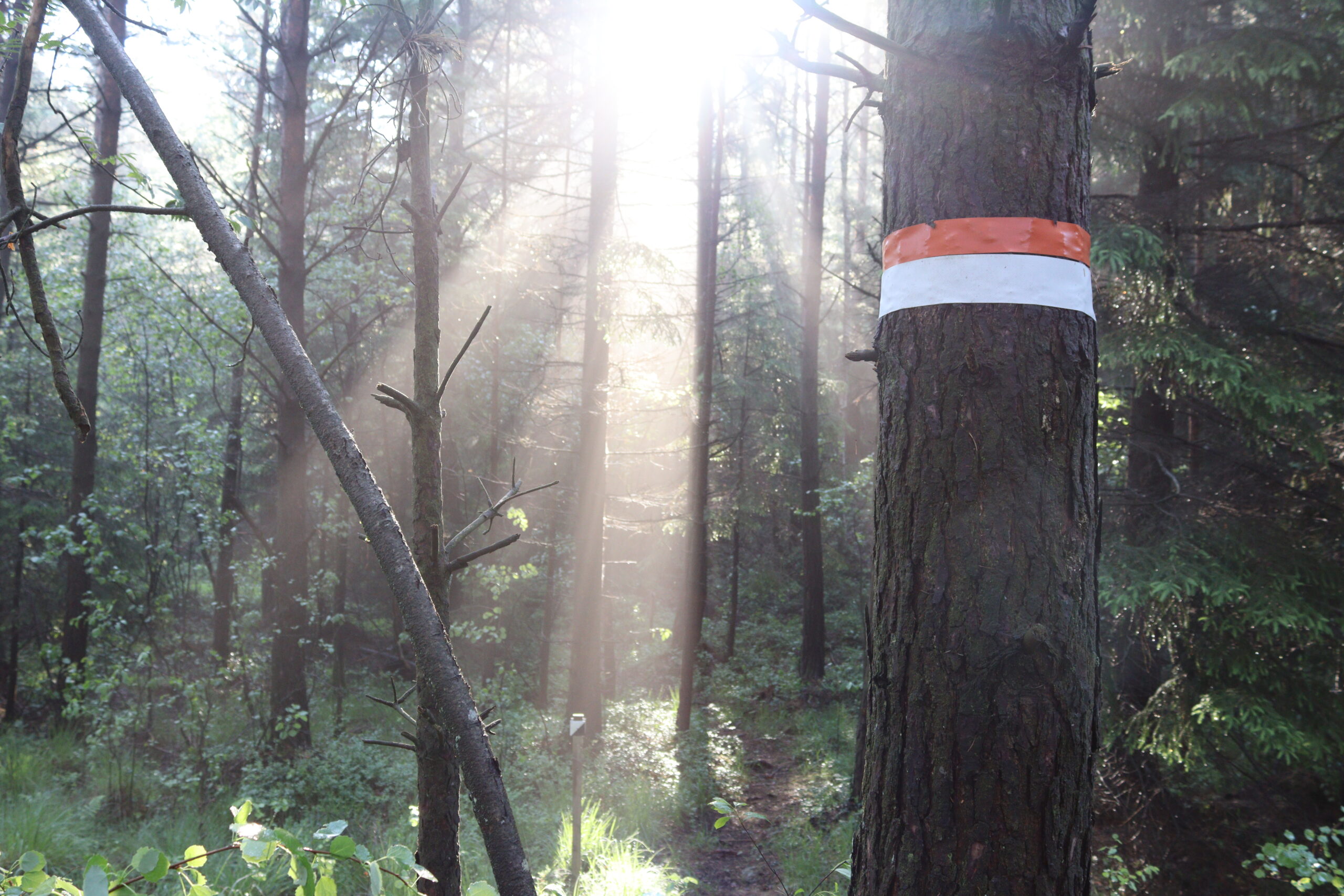 pilgrimsleden-gota-alv-markering-02