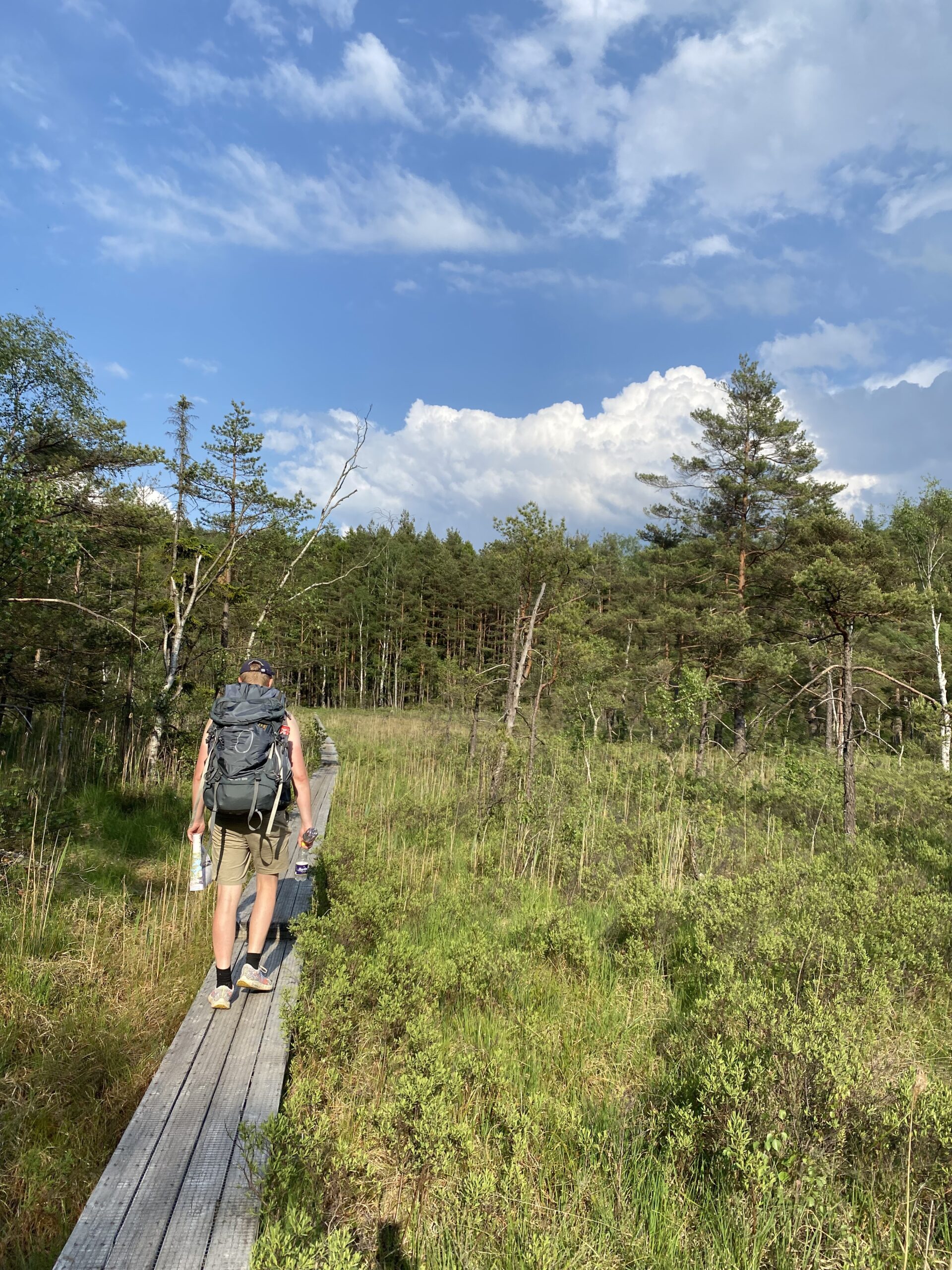 pilgrimsruten-gota-alv-29