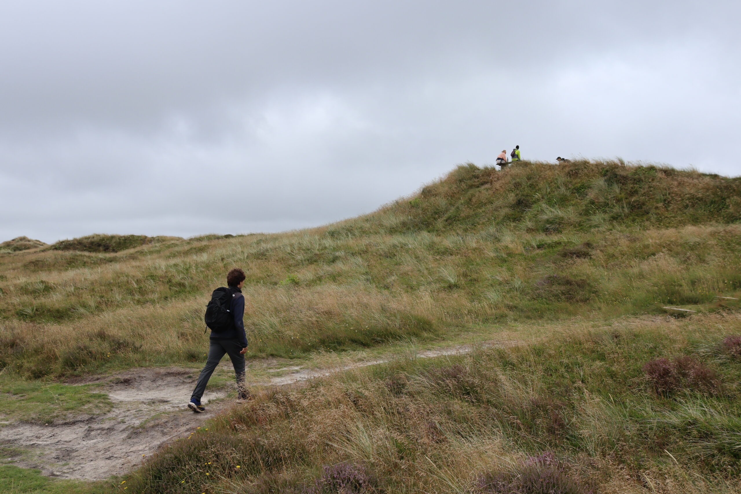 roemo-stierne-roed-rute