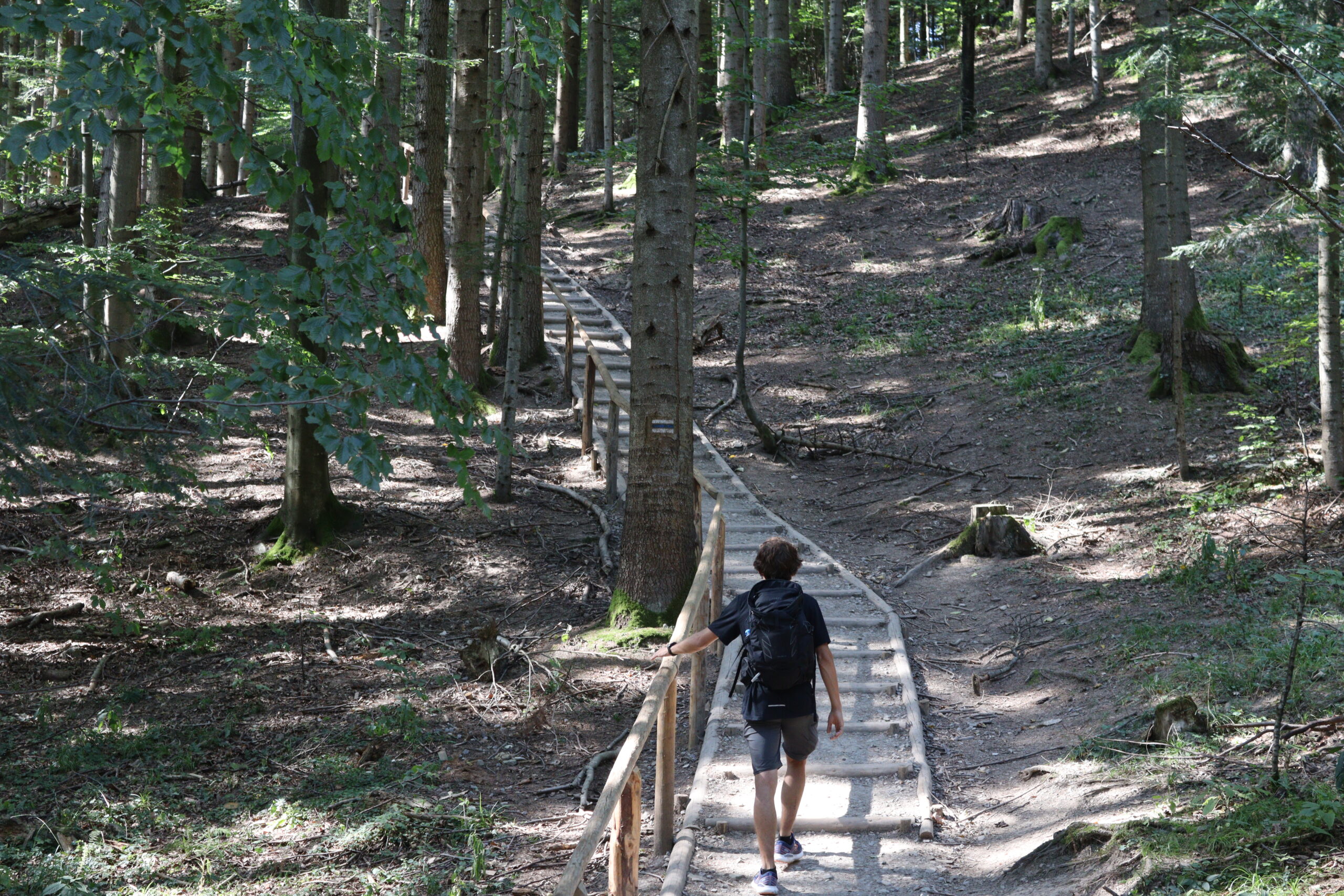 sokolica-vandrerute-polen-01