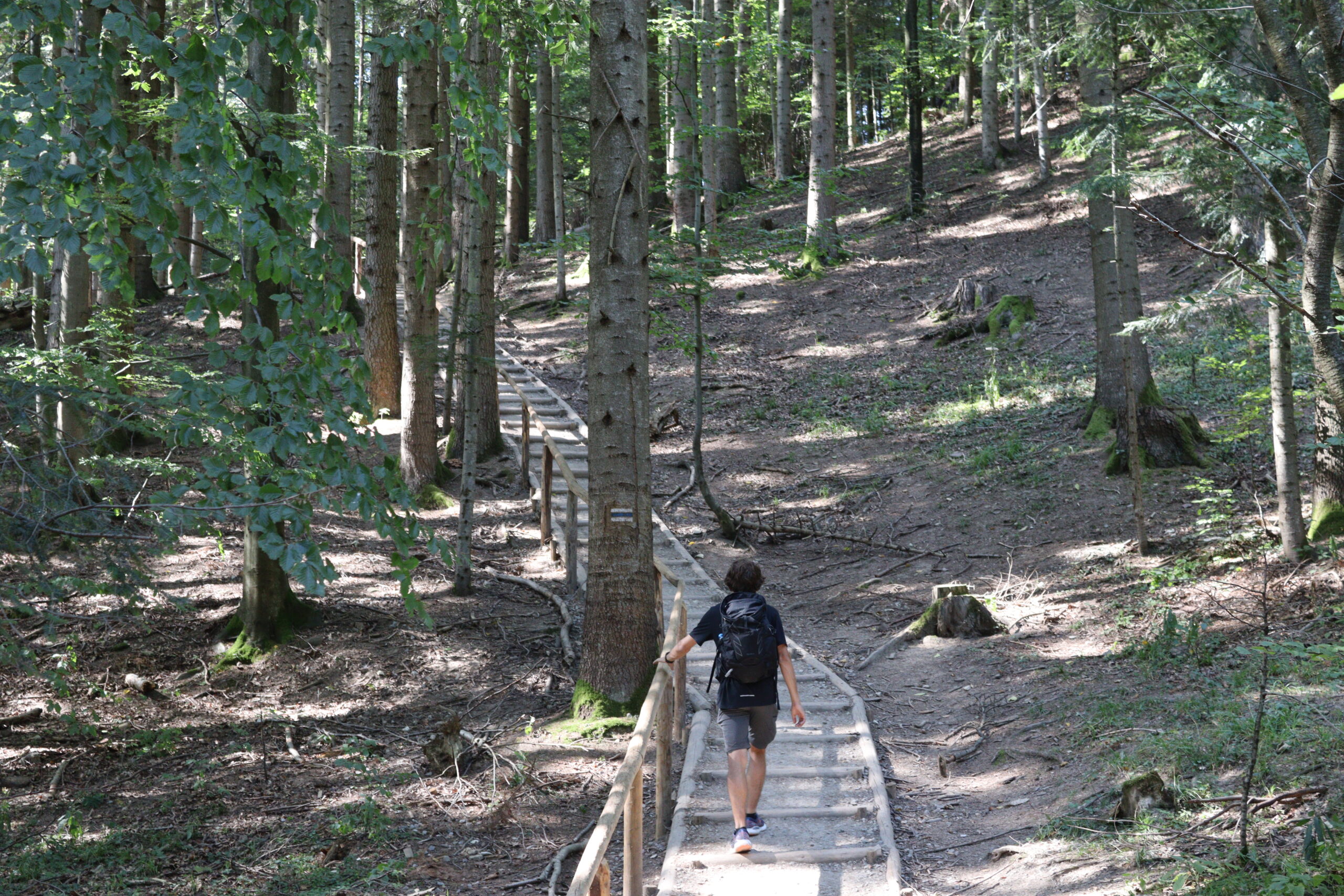 sokolica-vandrerute-polen