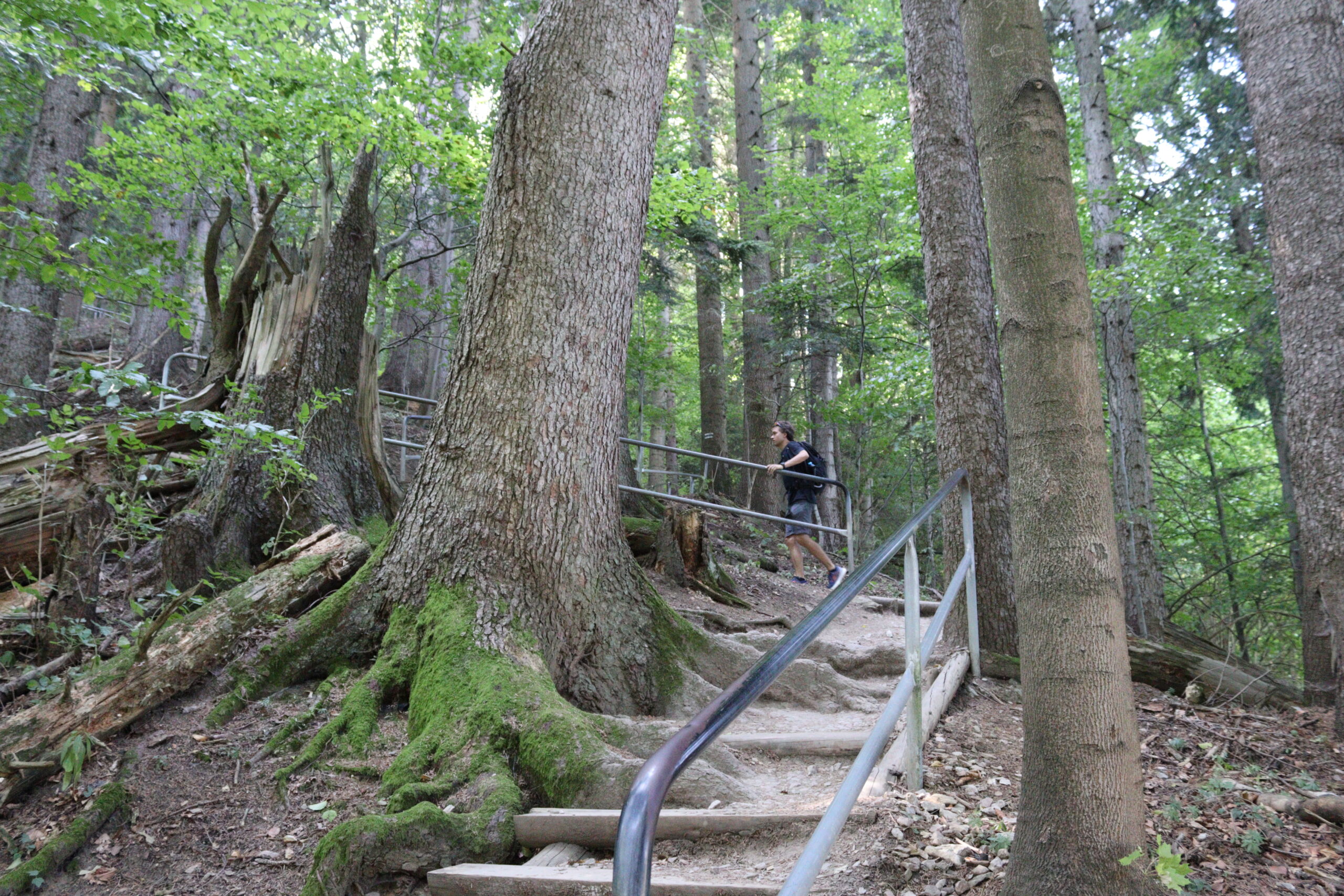 sokolica-vandrerute-gelaender