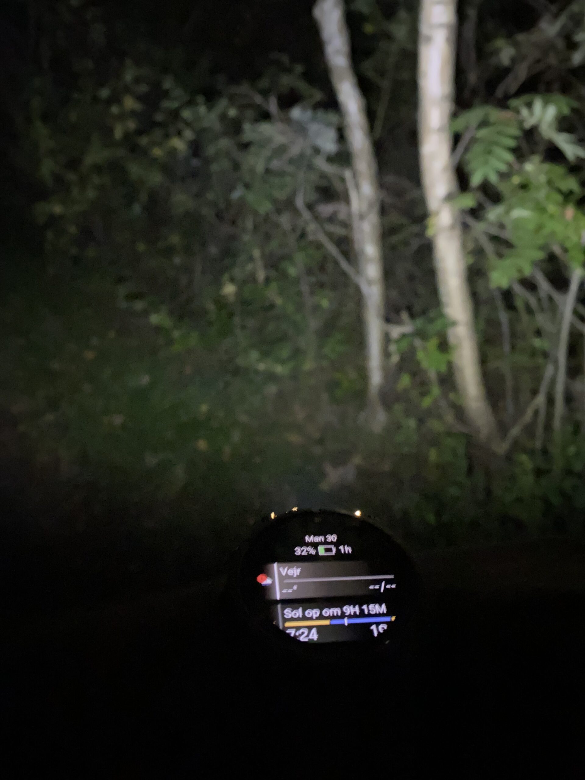 garmin-fenix-8-lommelygte-02