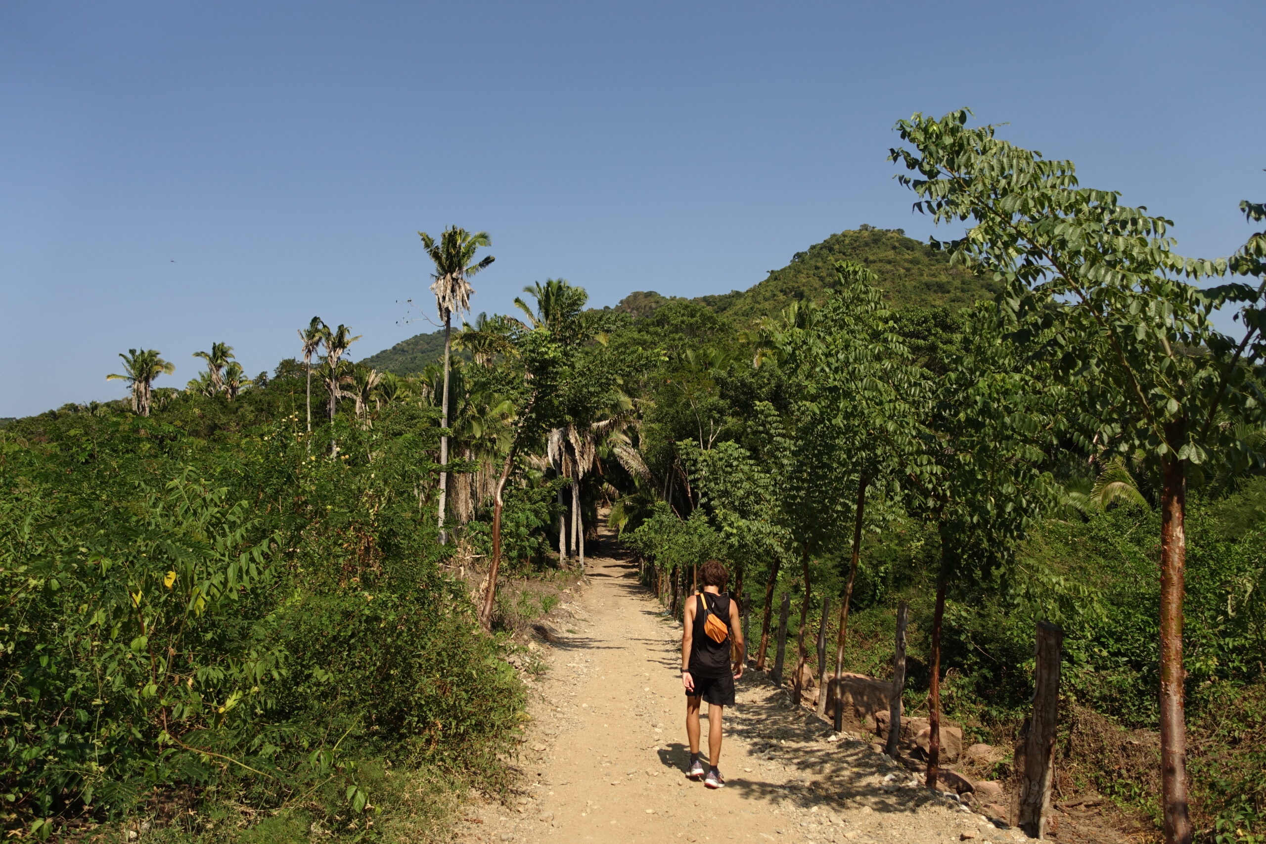 monkey-mountain-sayulita-mexico-vandrerute-06