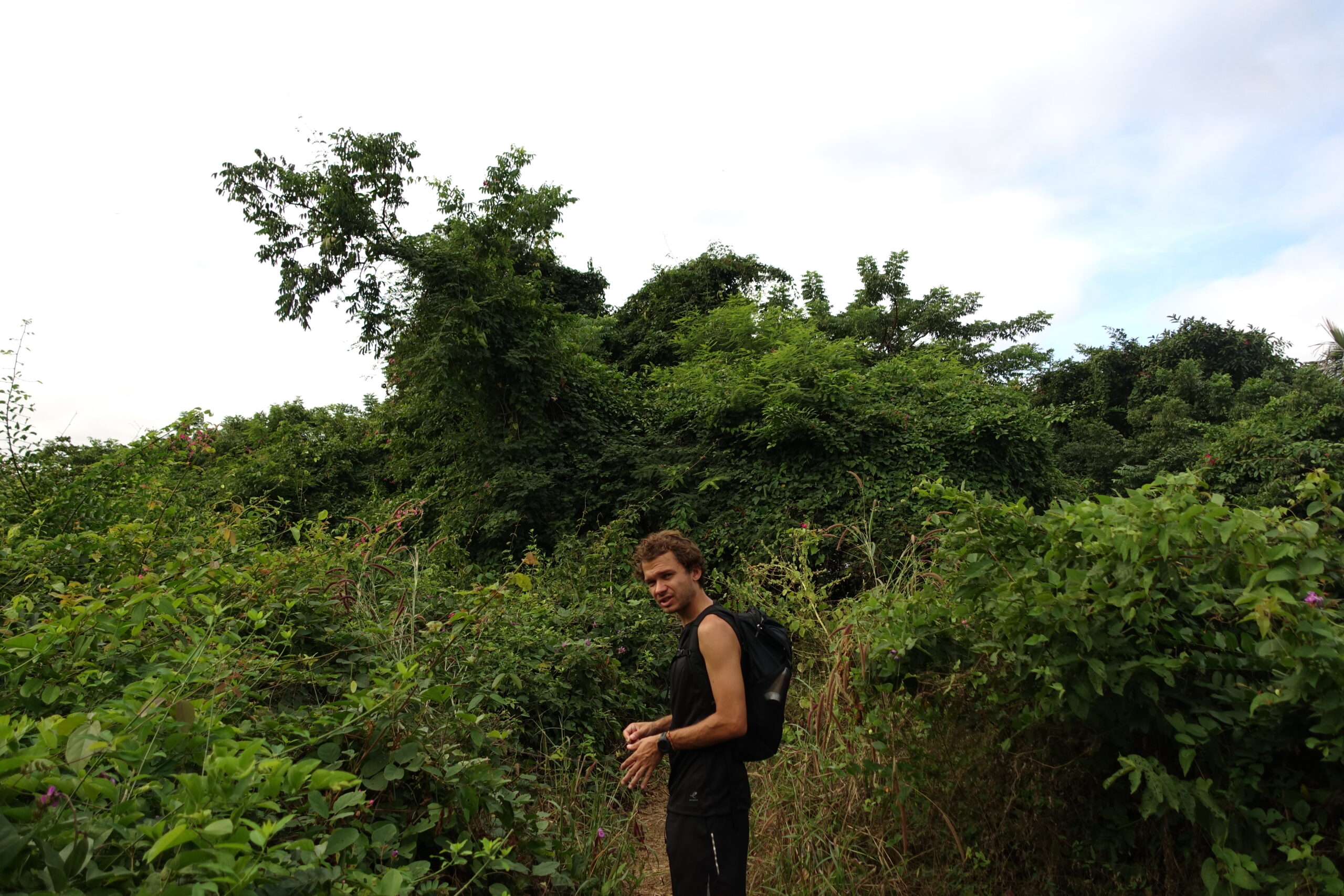 san-pancho-til-sayulita-vandretur-jungle-christian