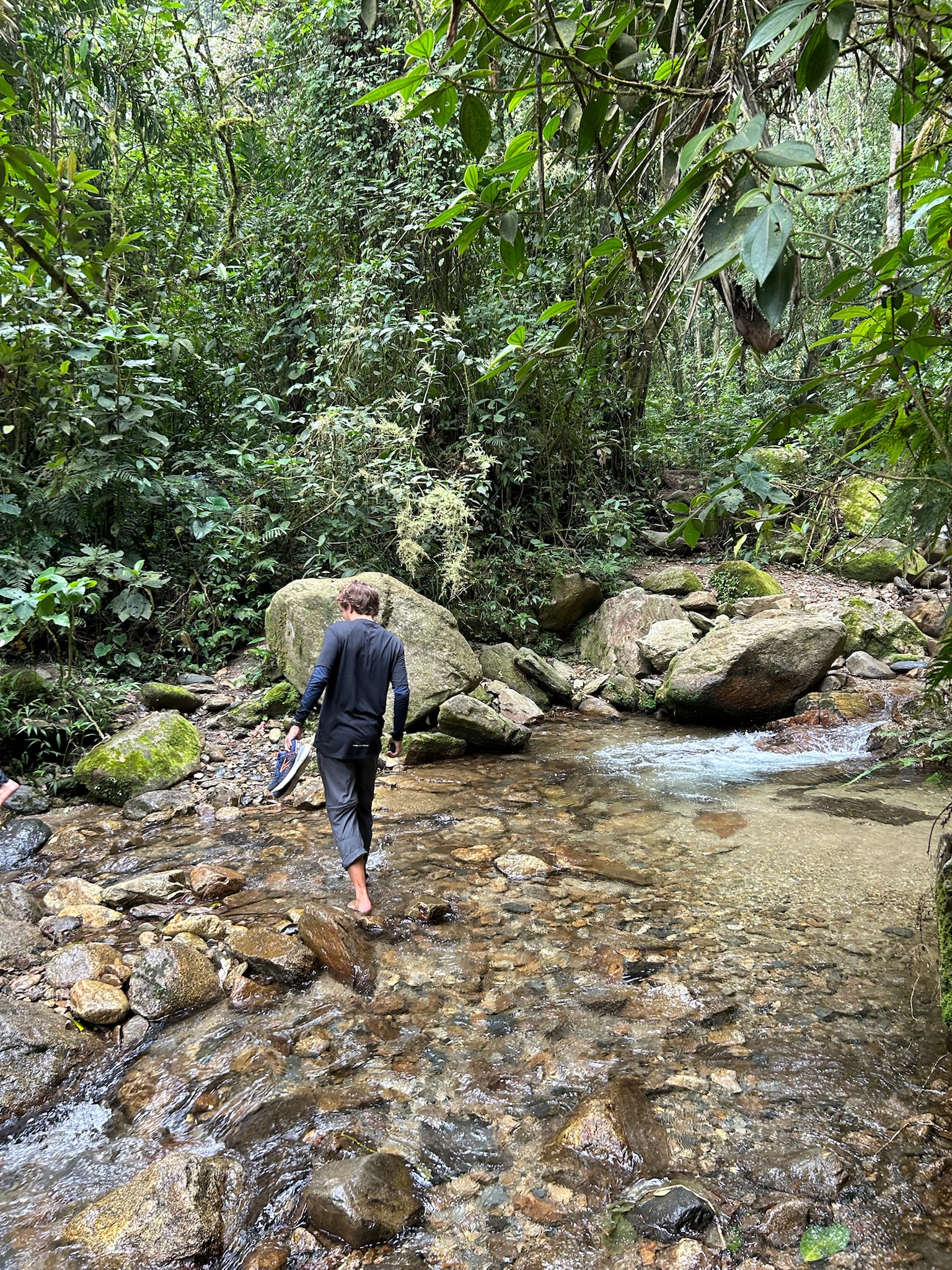 chorro-campanas-christian-i-bar-foedder-paa-sten-og-vand