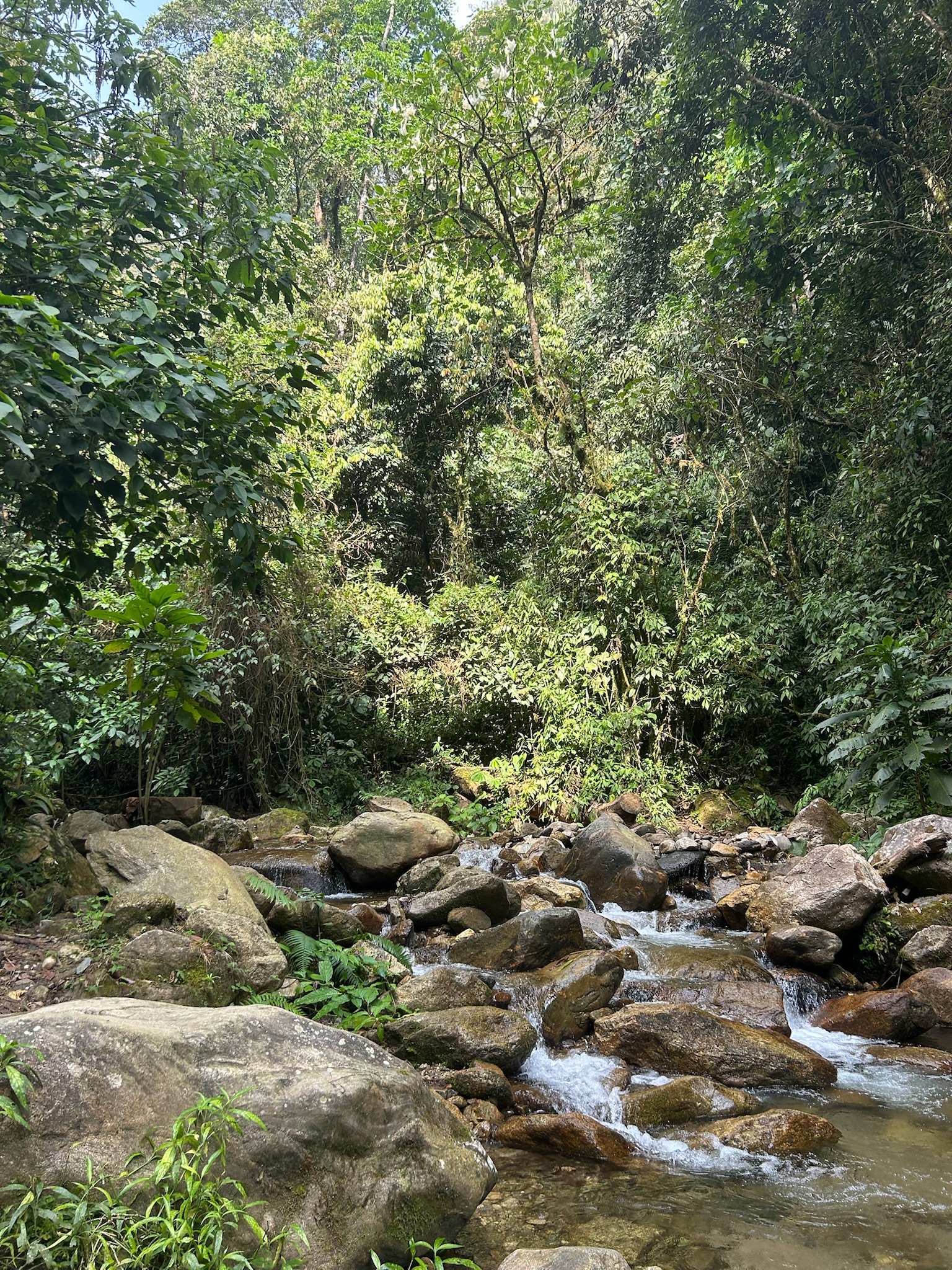 chorro-campanas-sten-og-vand-05