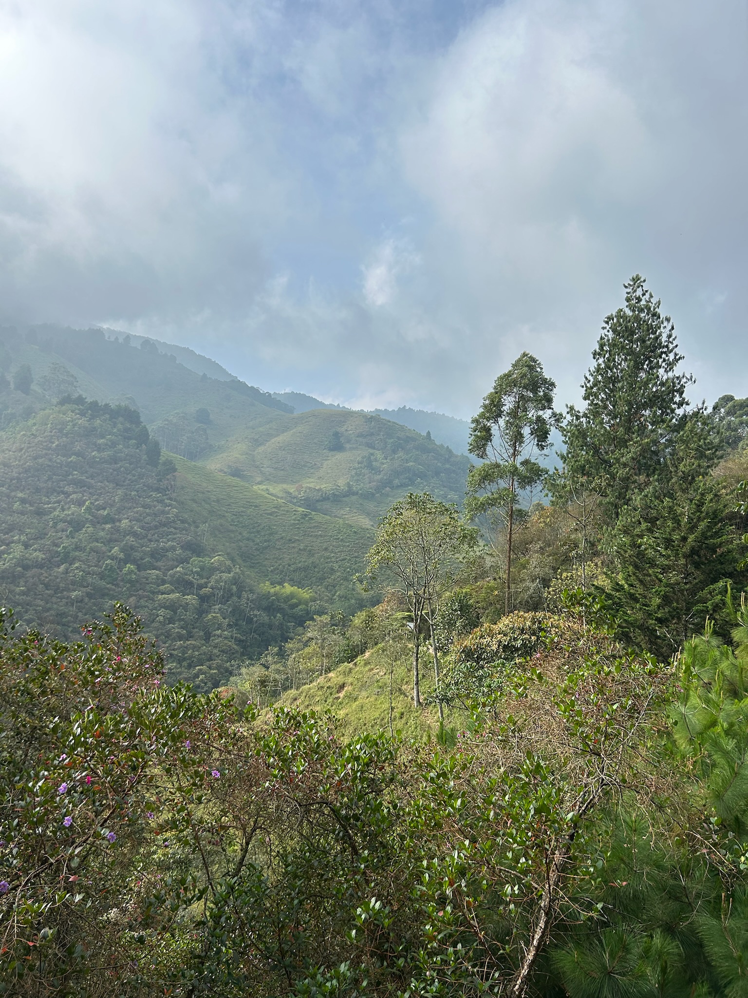 chorro-campanas-udsigt-05