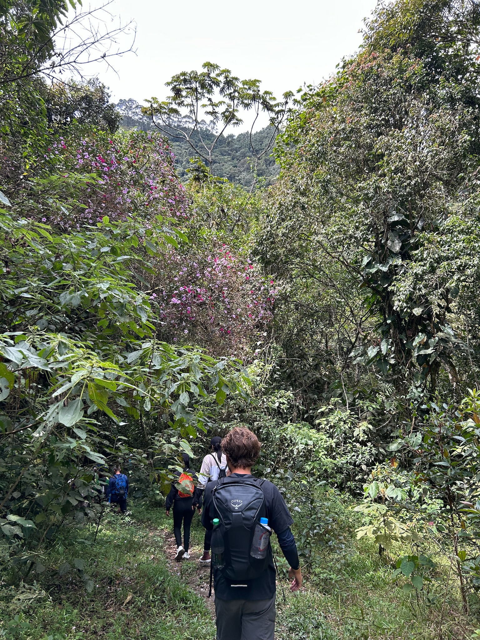 chorro-campanas-vandreruten-christian-gaar