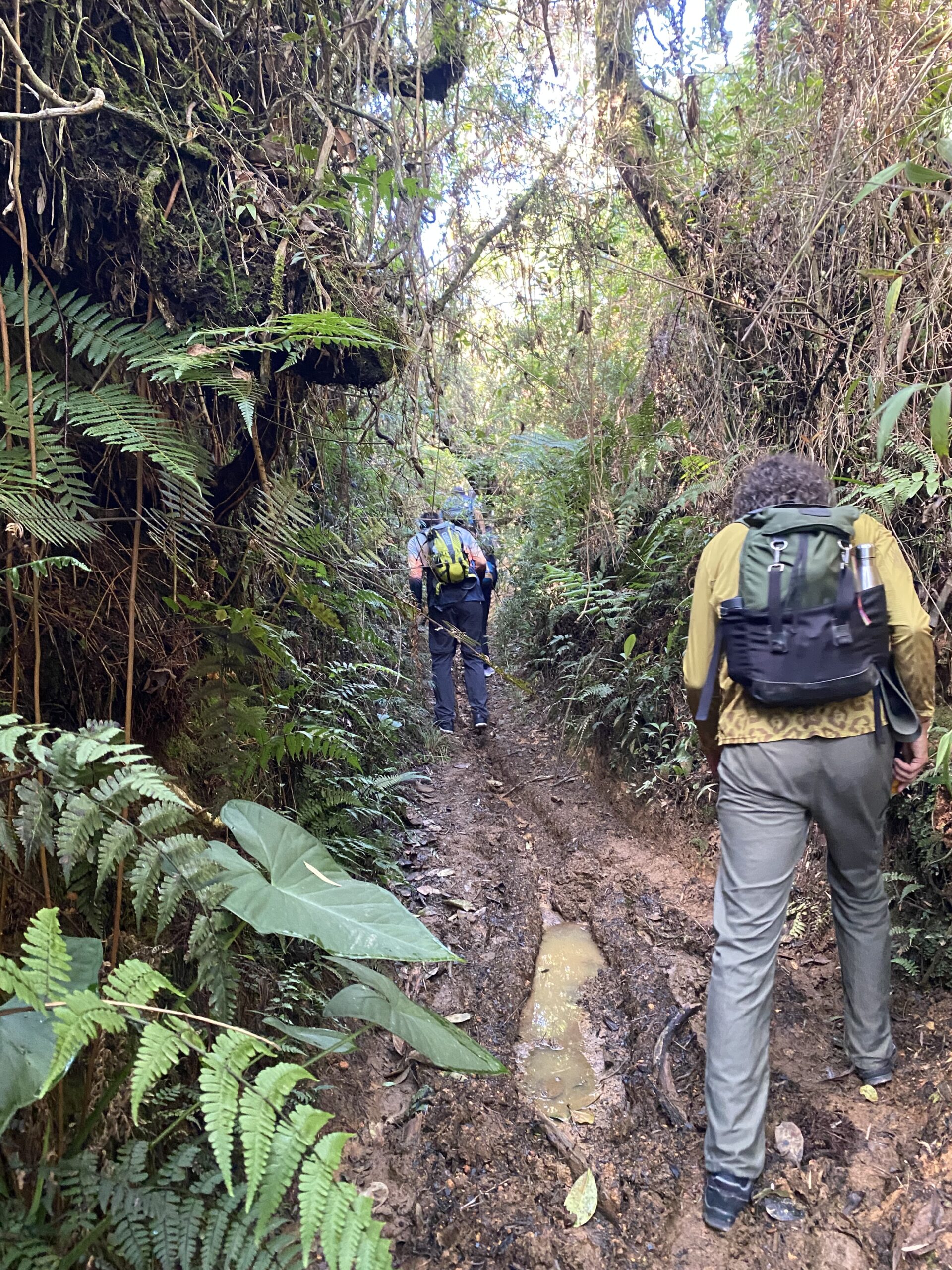 la-estrella-til-angelopolis-medellin-hike-esteban-01