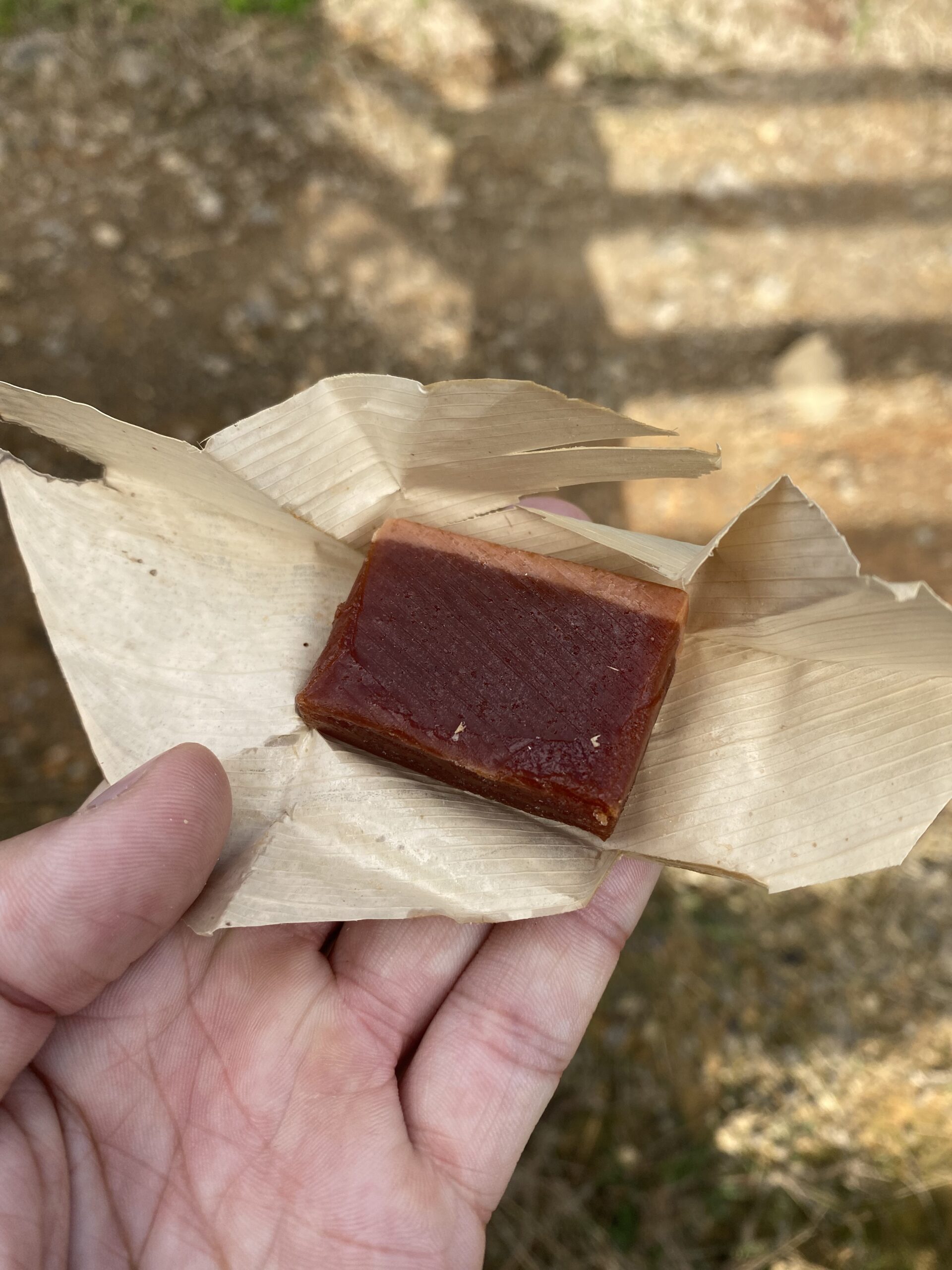 la-estrella-til-angelopolis-medellin-hike-guayaba-01