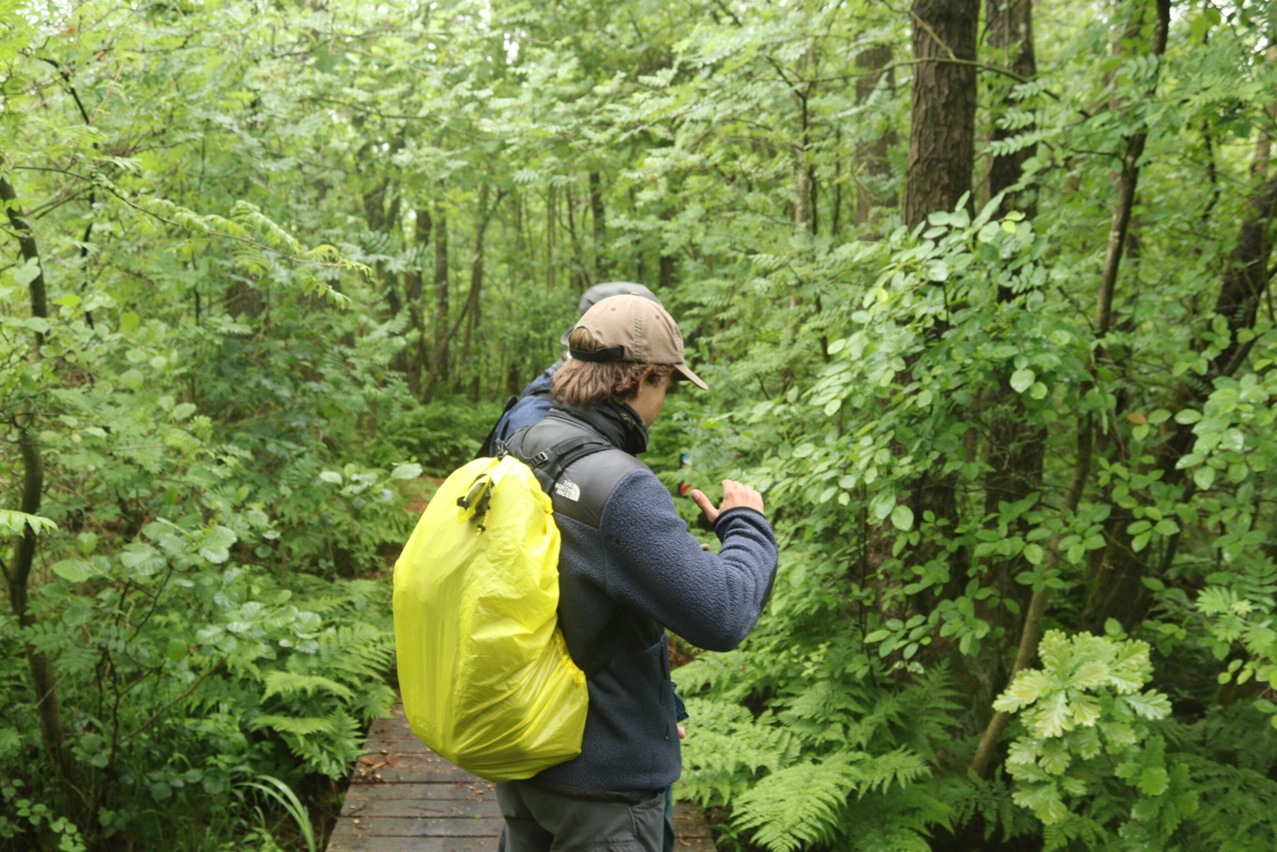 christian-i-de-alde-feanen-nationalpark
