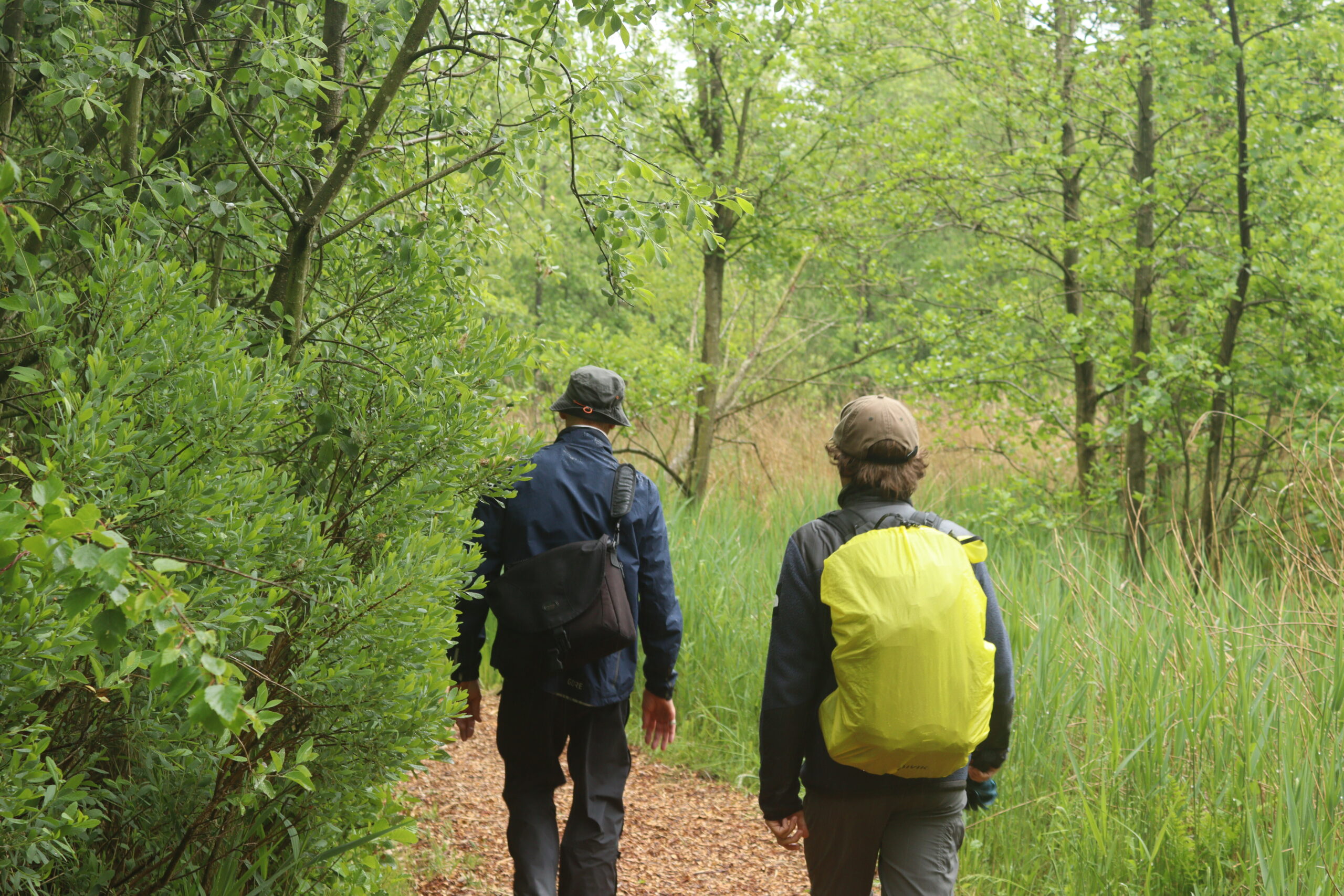 Guided tur i De Alde Feanen National Park