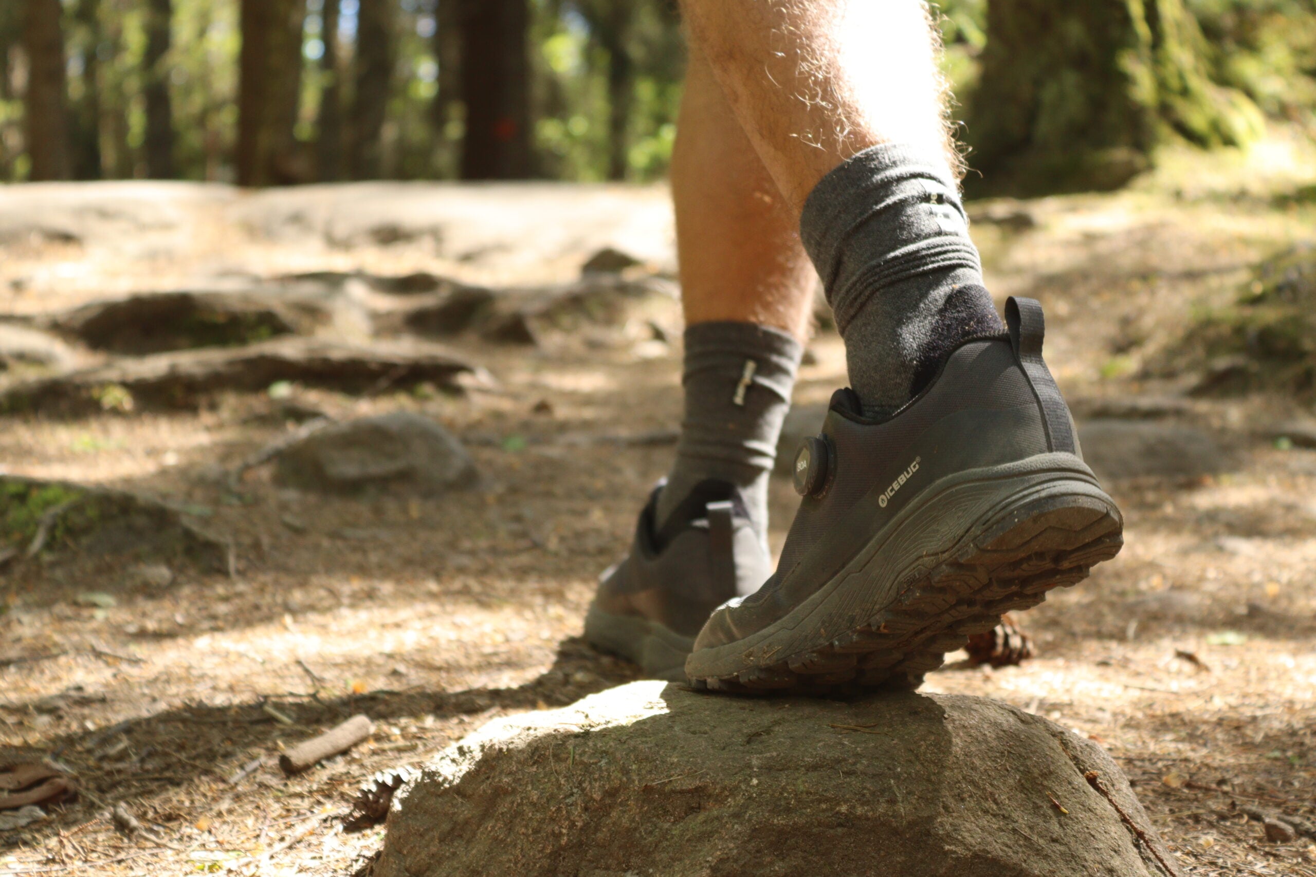 liiteguard-nr2-crew-merino-hiking-socks-og-vandresko-i-natur-04