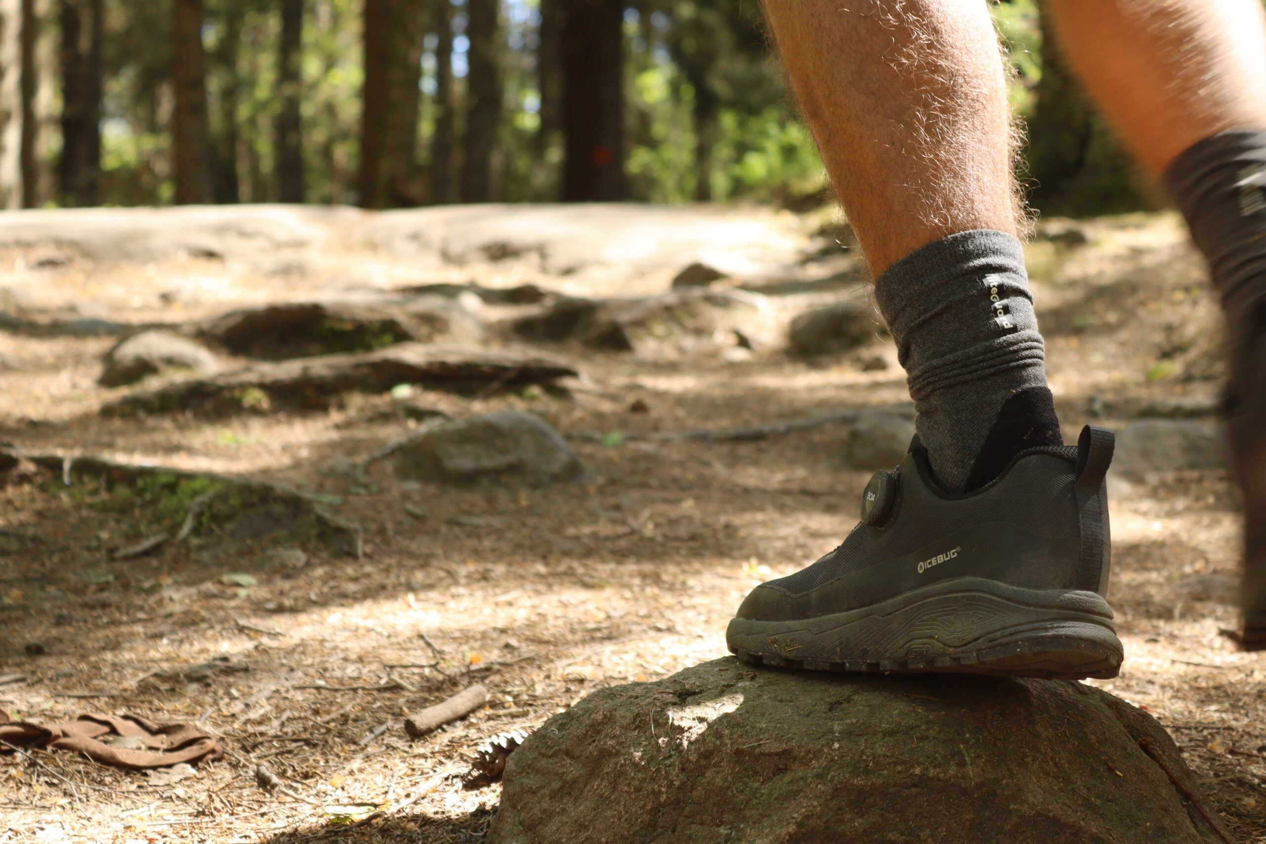 liiteguard-nr2-crew-merino-hiking-socks-og-vandresko-i-natur-01