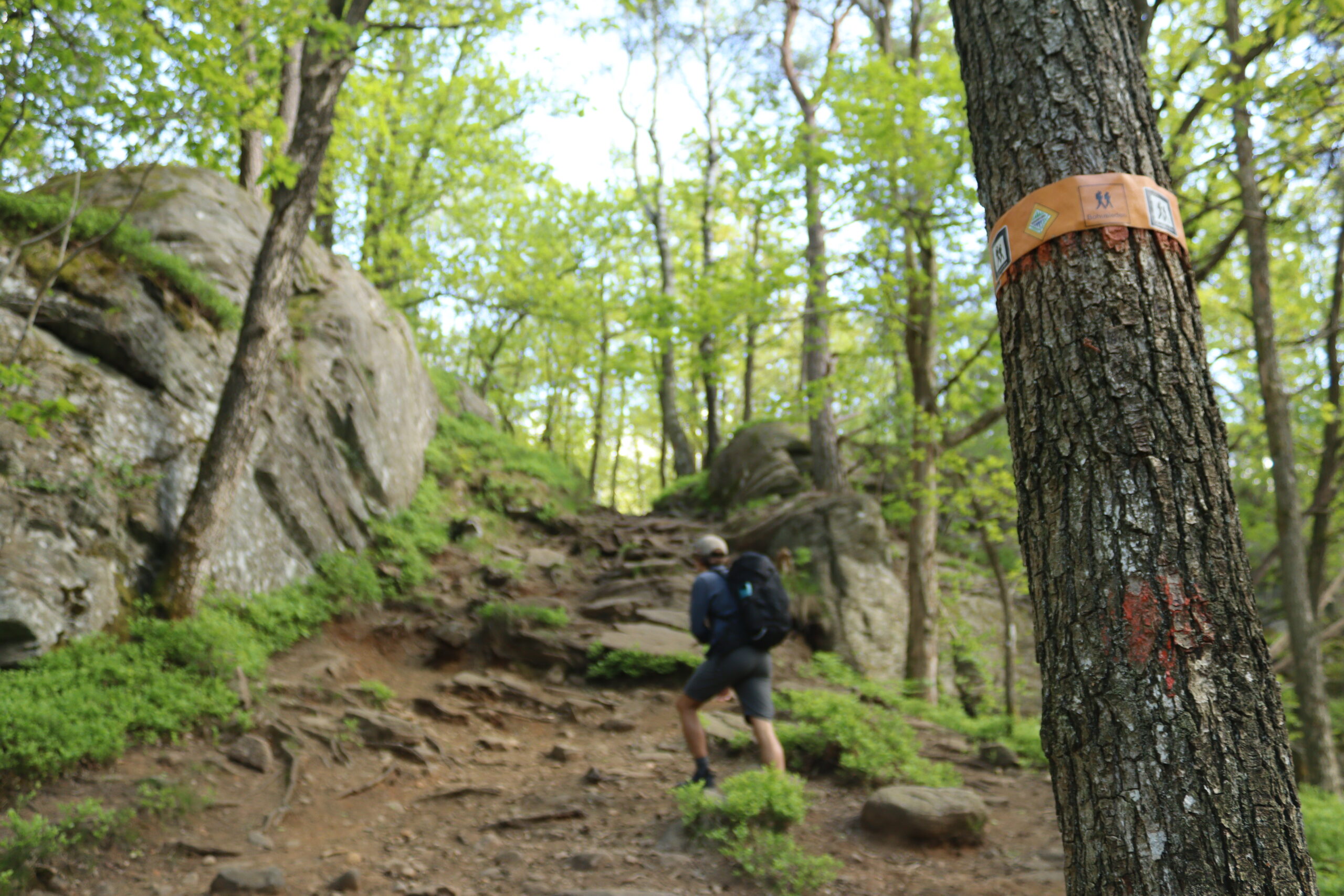 vildmarksleden-goteborg-friluftsfreak-06