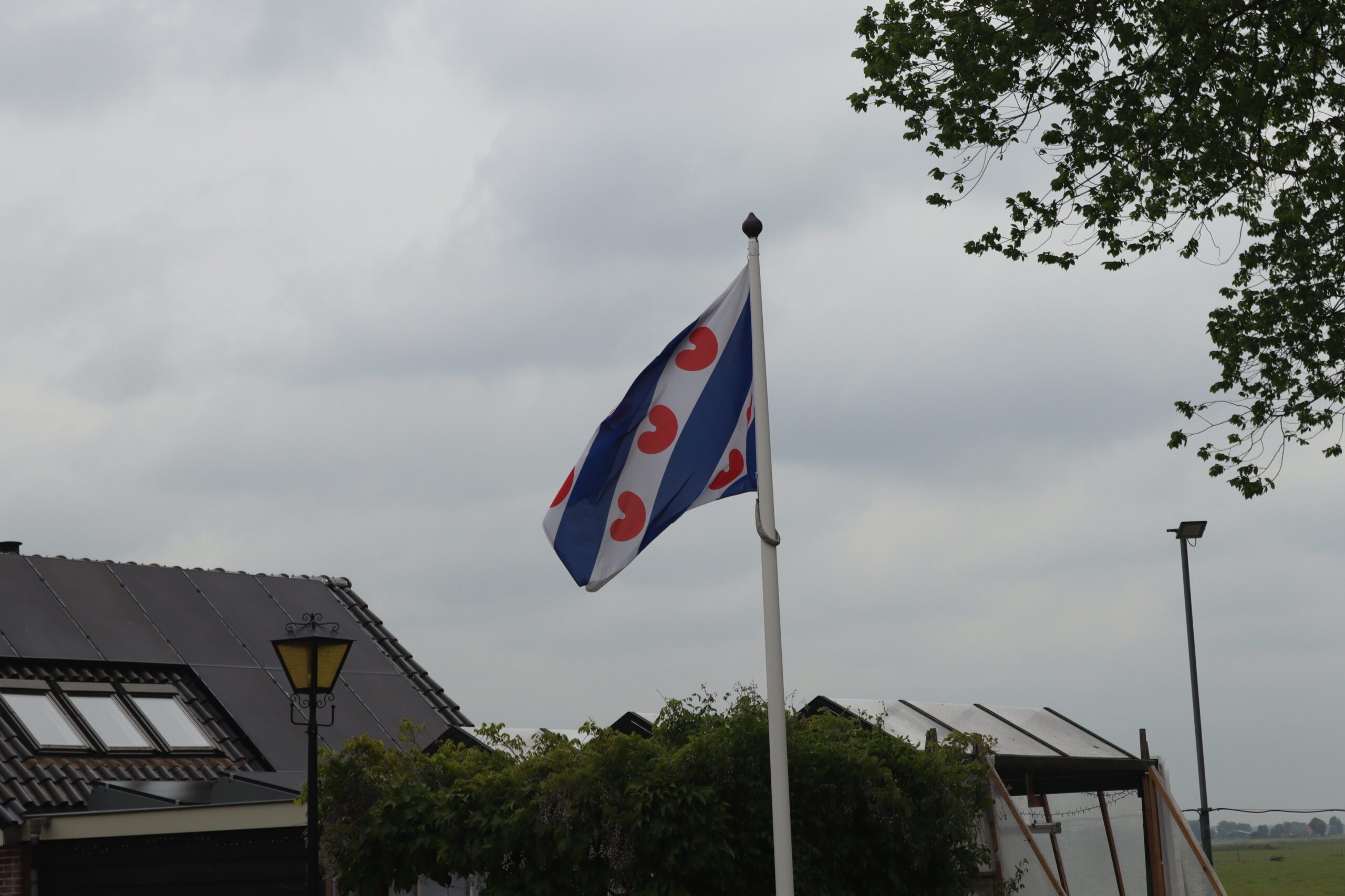 friesland-flag-blafrer-i-vinden
