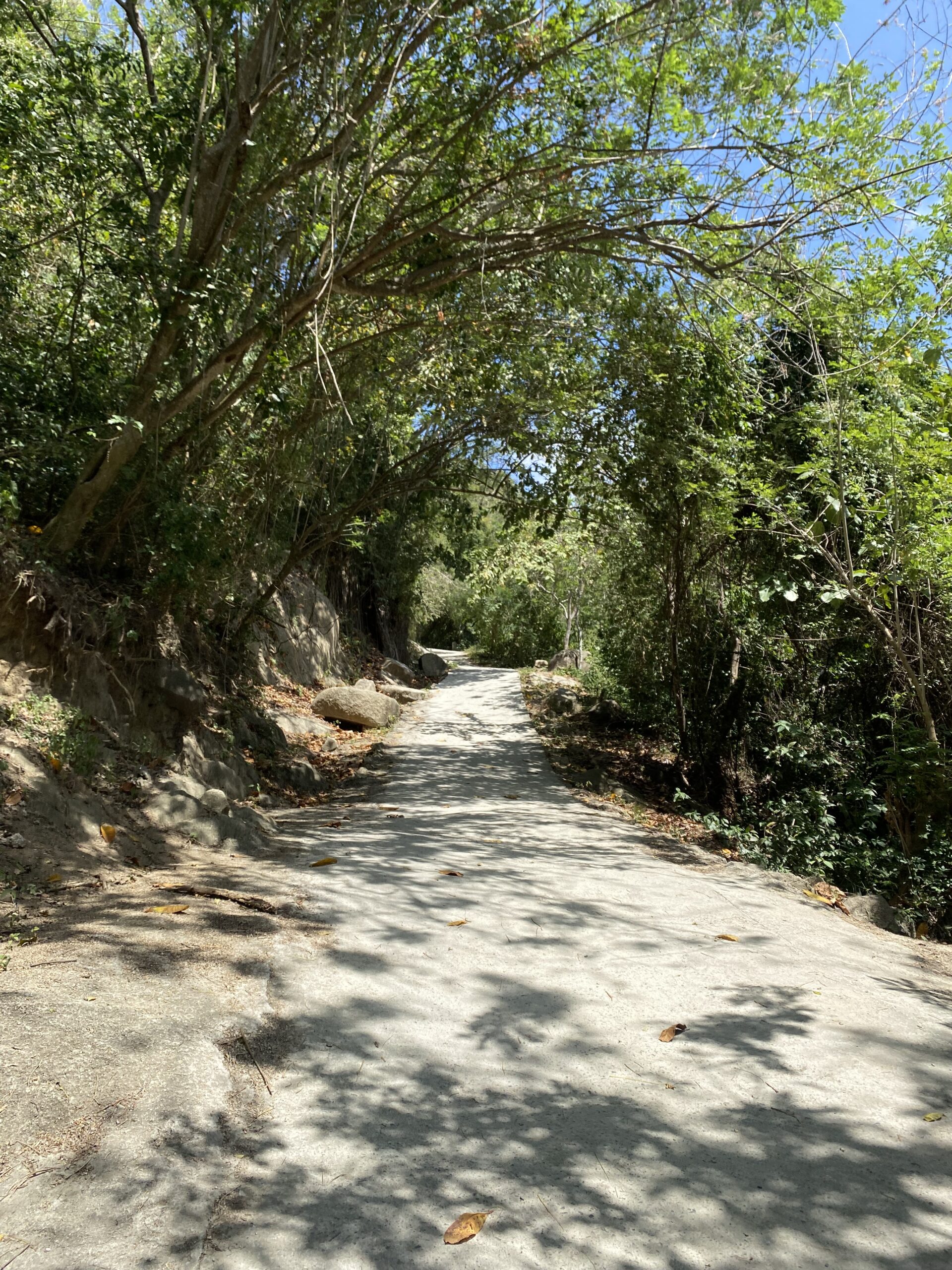 vandrerute-i-tayrona-national-park-colombia