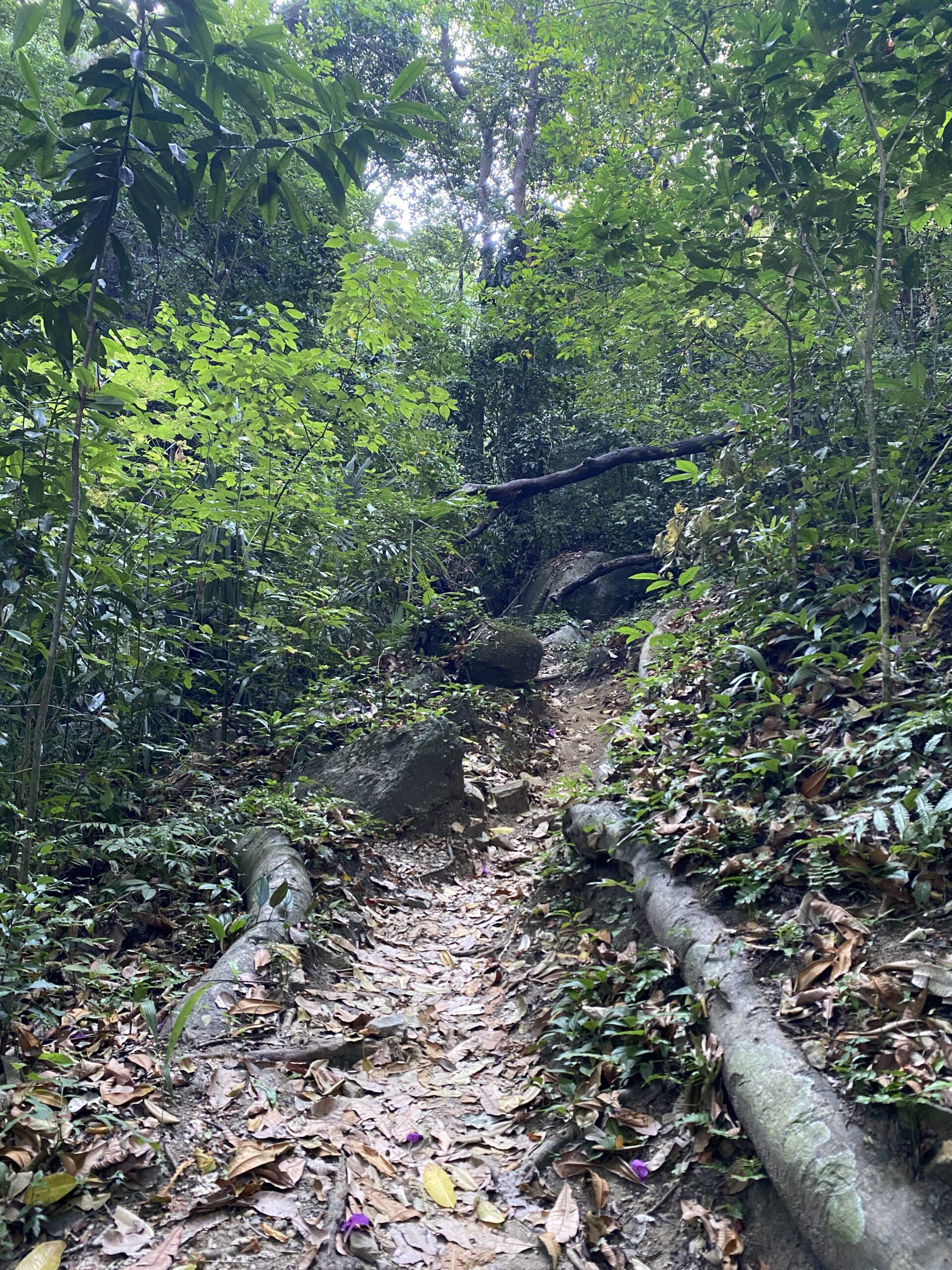 cabo-san-juan-til-el-zaino-01