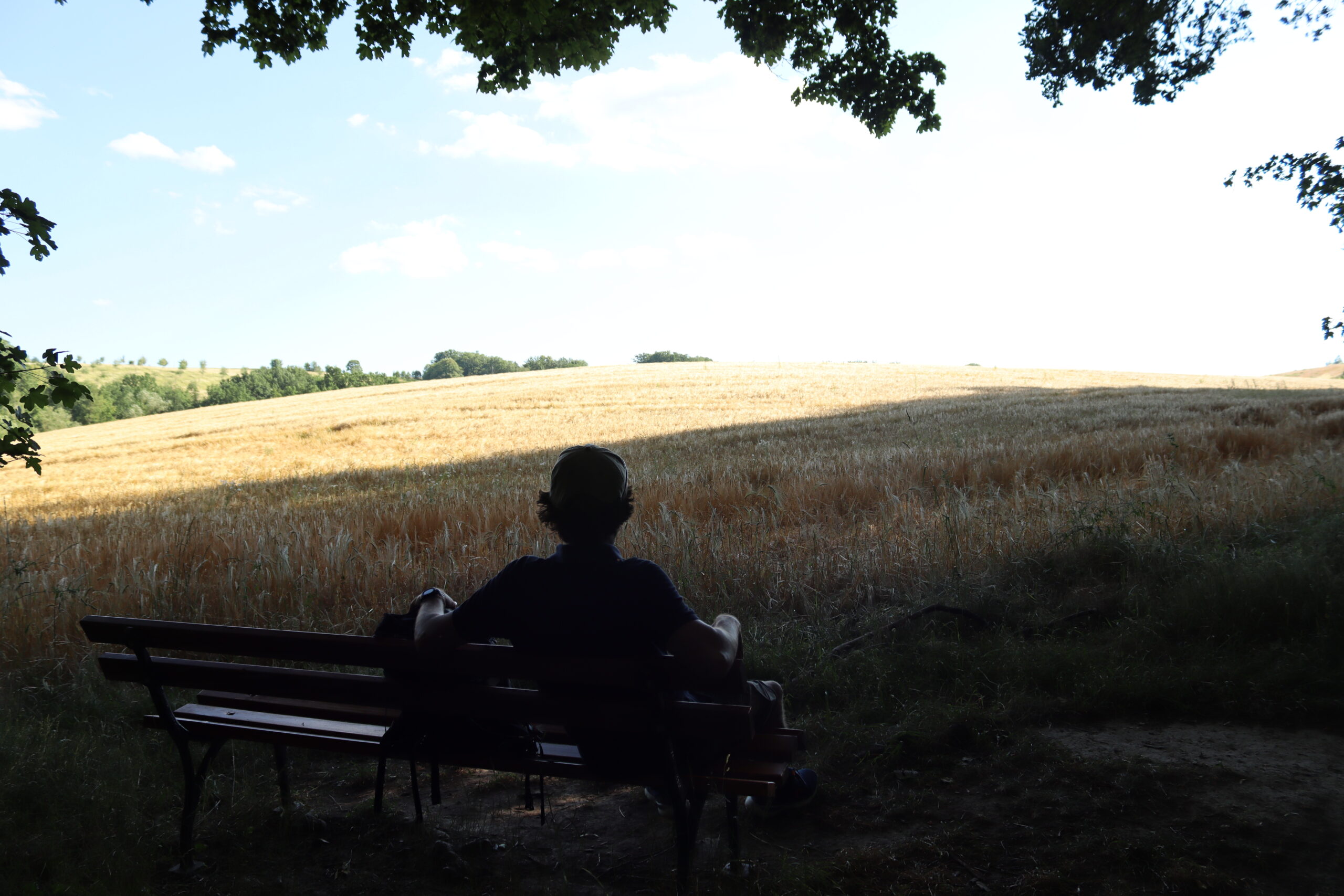 pause-paa-vandrerute-i-leisnig-kloster-buch