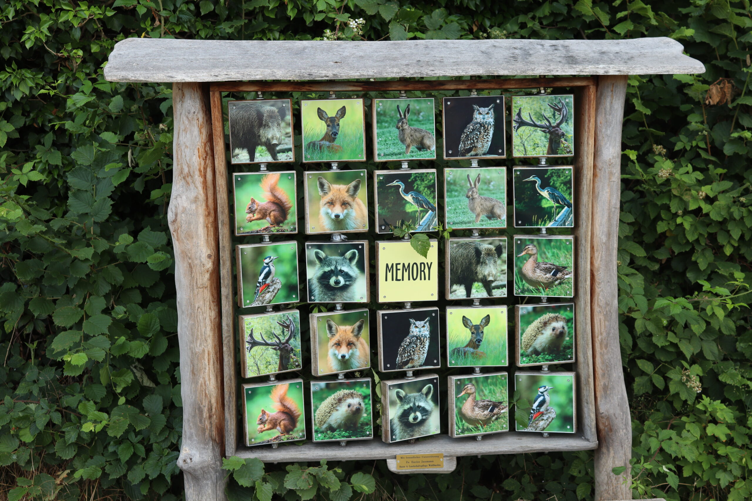 dyr-vendespil-i-naturen-leipzig