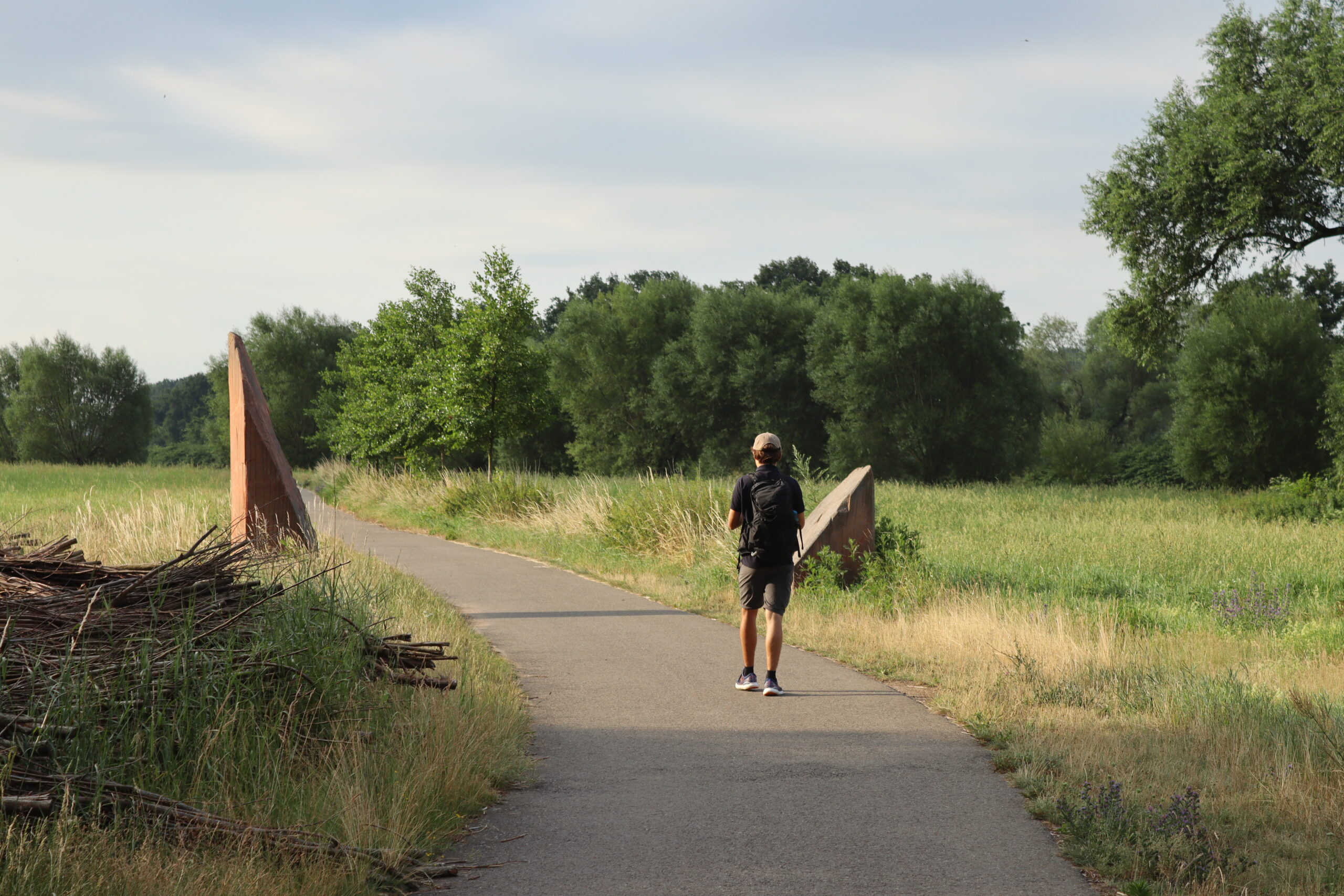 grimma-til-urlaubsdorf-hofgen-christian-thomsen-gaar-paa-asfalt-01