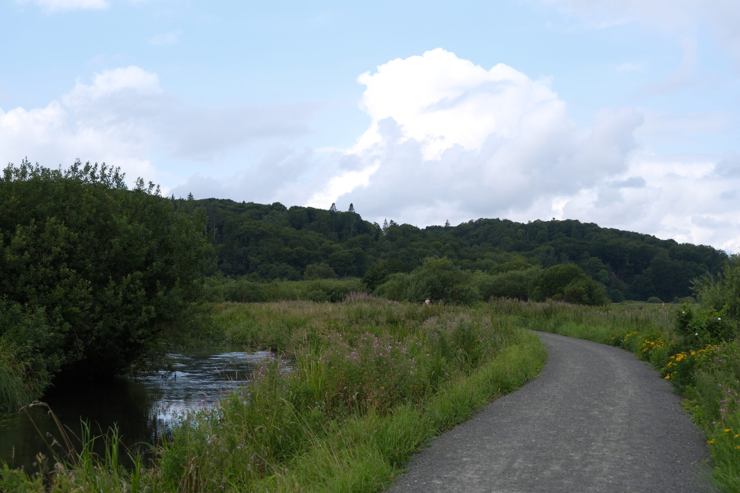 vejle-aadal-natur-og-vandrerute-02