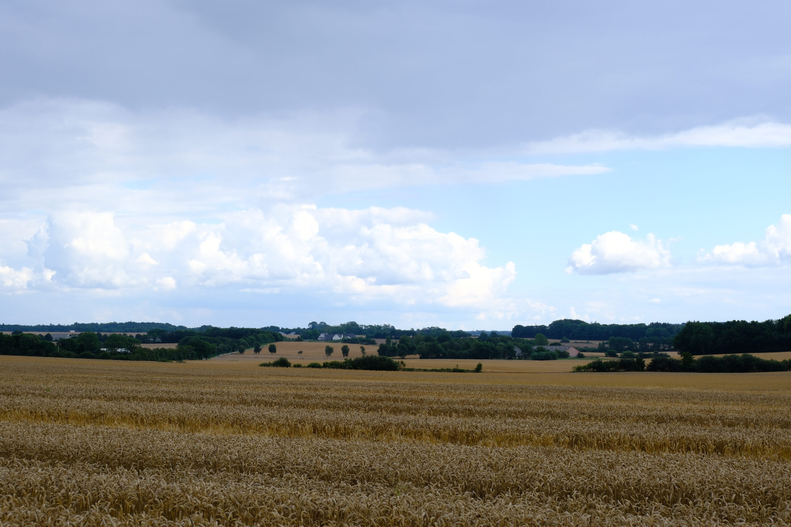 aadals-etapen-vejle-natur-08