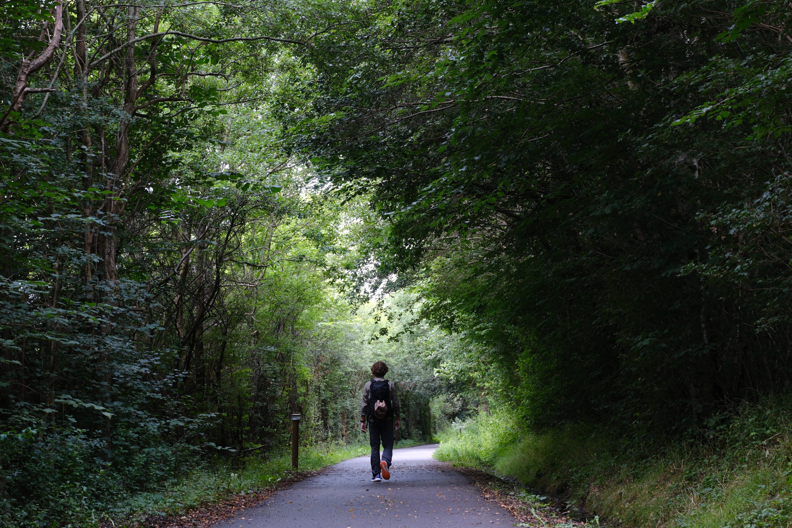 bindeballestien-i-vejle-christian-vandrer-01