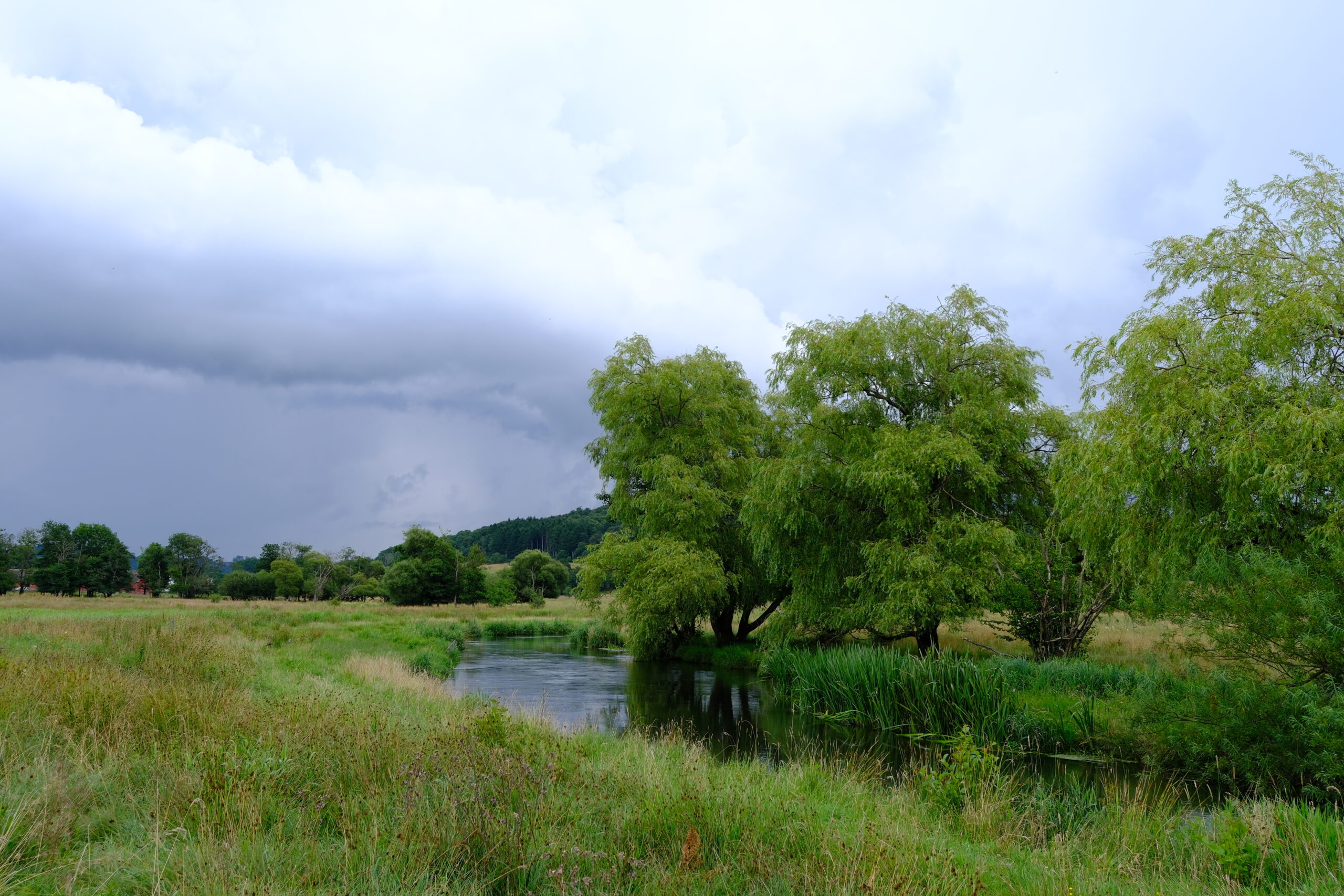 bindeballestien-flot-natur-01