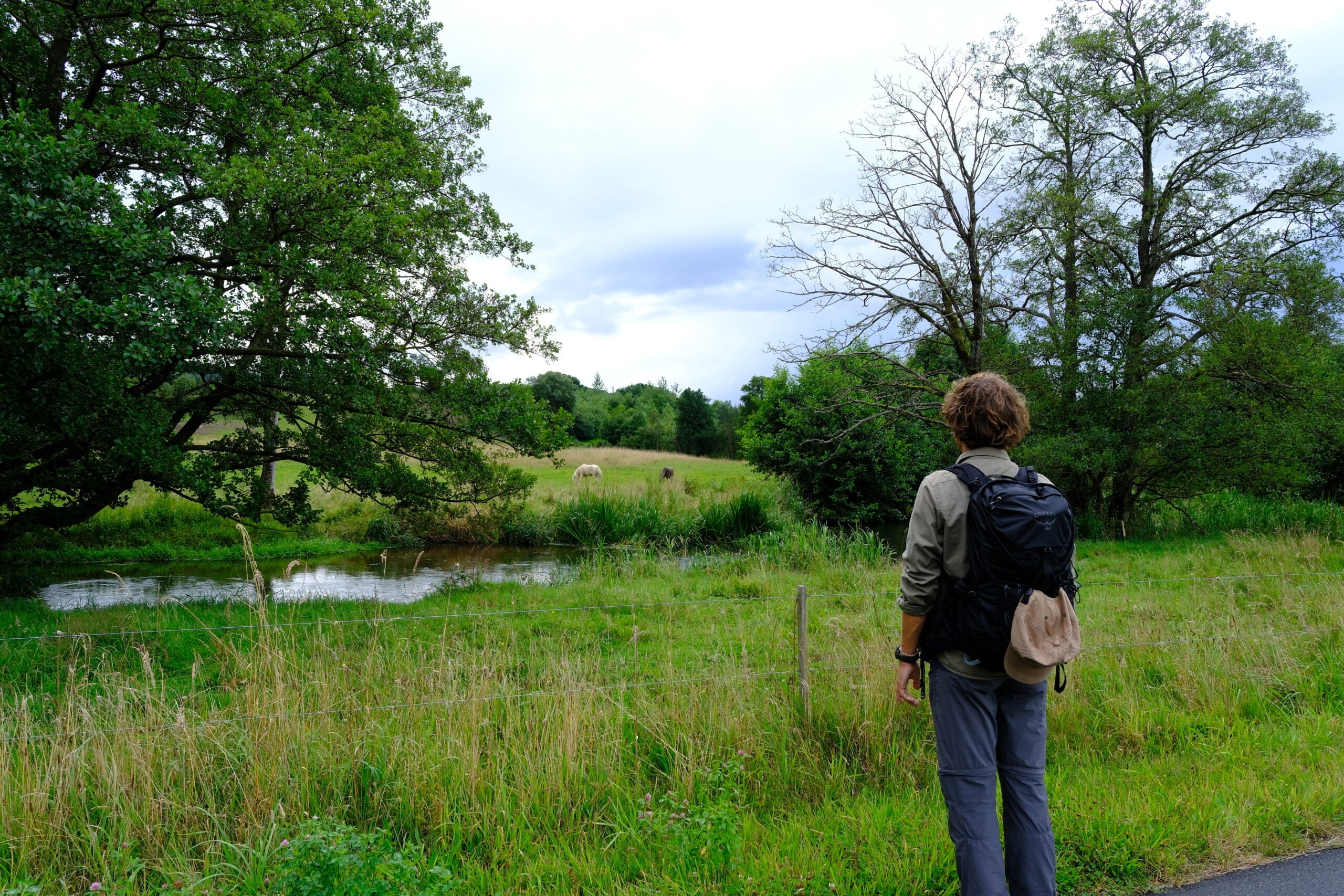 bindeballestien-flot-natur-og-heste-01
